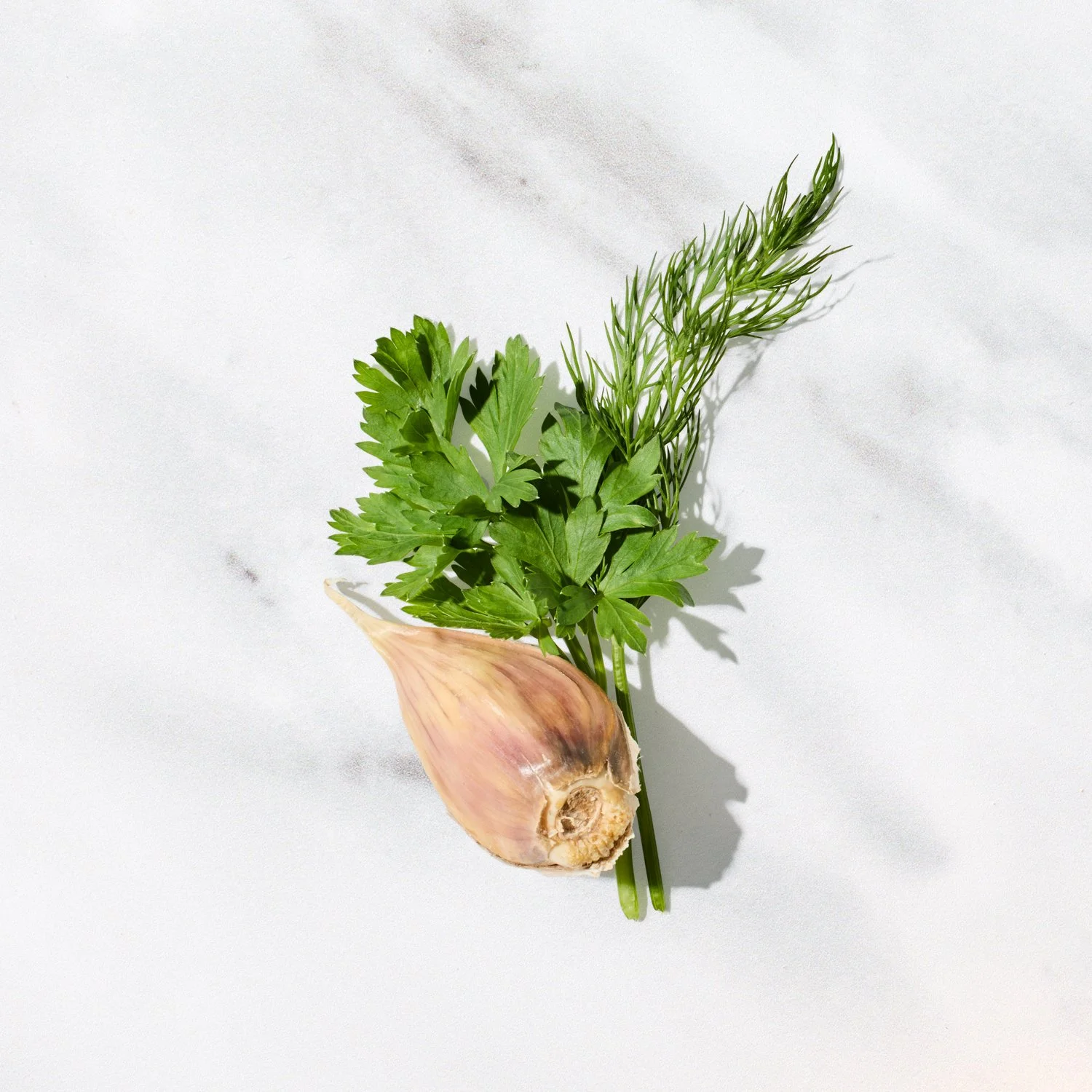 Toronto_Food_Photographer_Joanna_Wojewoda_-5.jpg