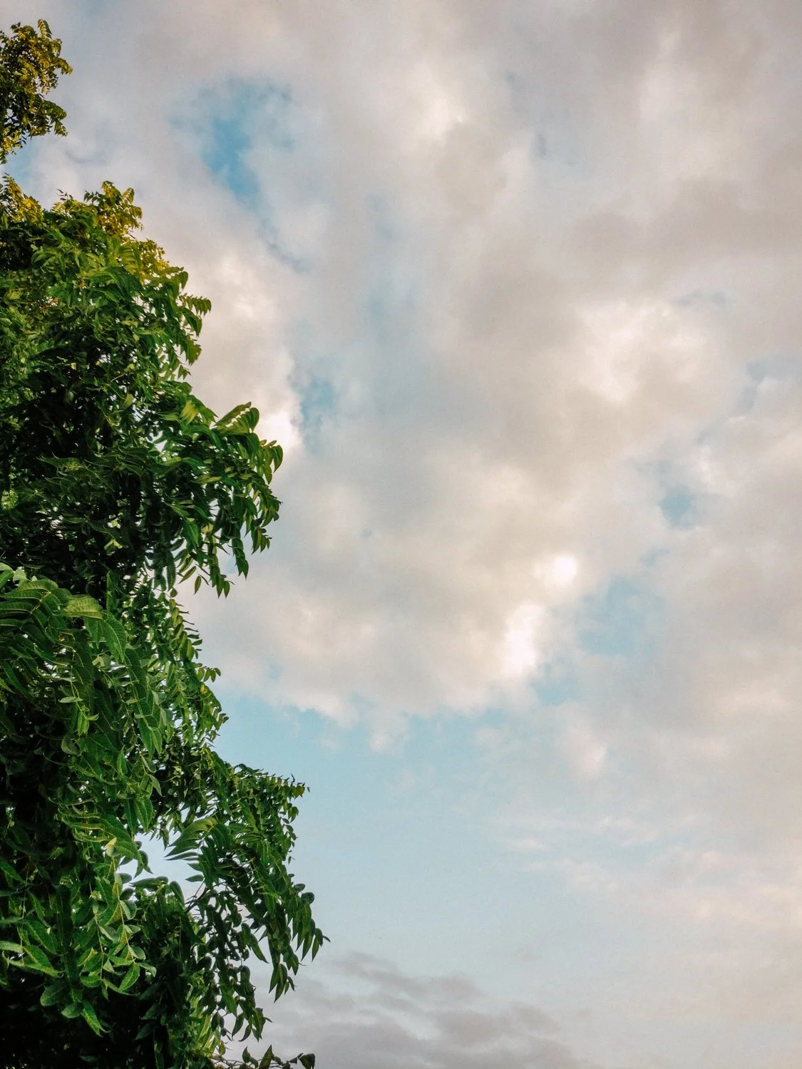 Toronto_Photographer_Joanna_Wojewoda_-7.jpg
