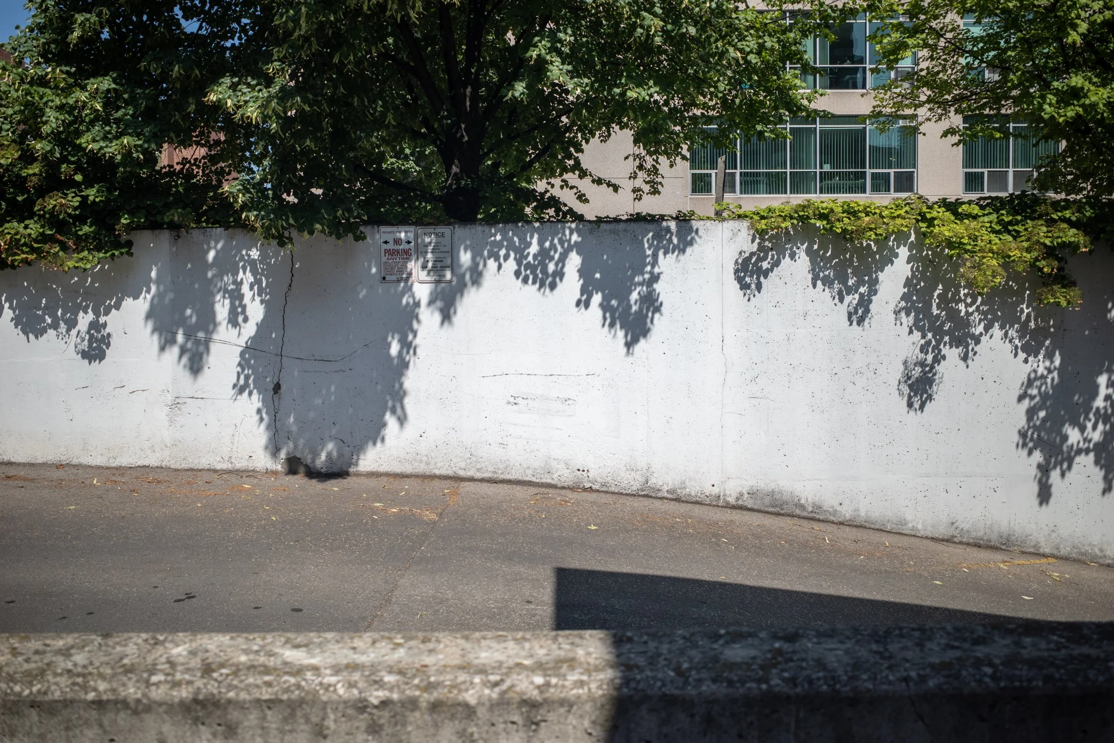 Toronto_Travel_Photographer_Joanna_Wojewoda_Toronto.jpg