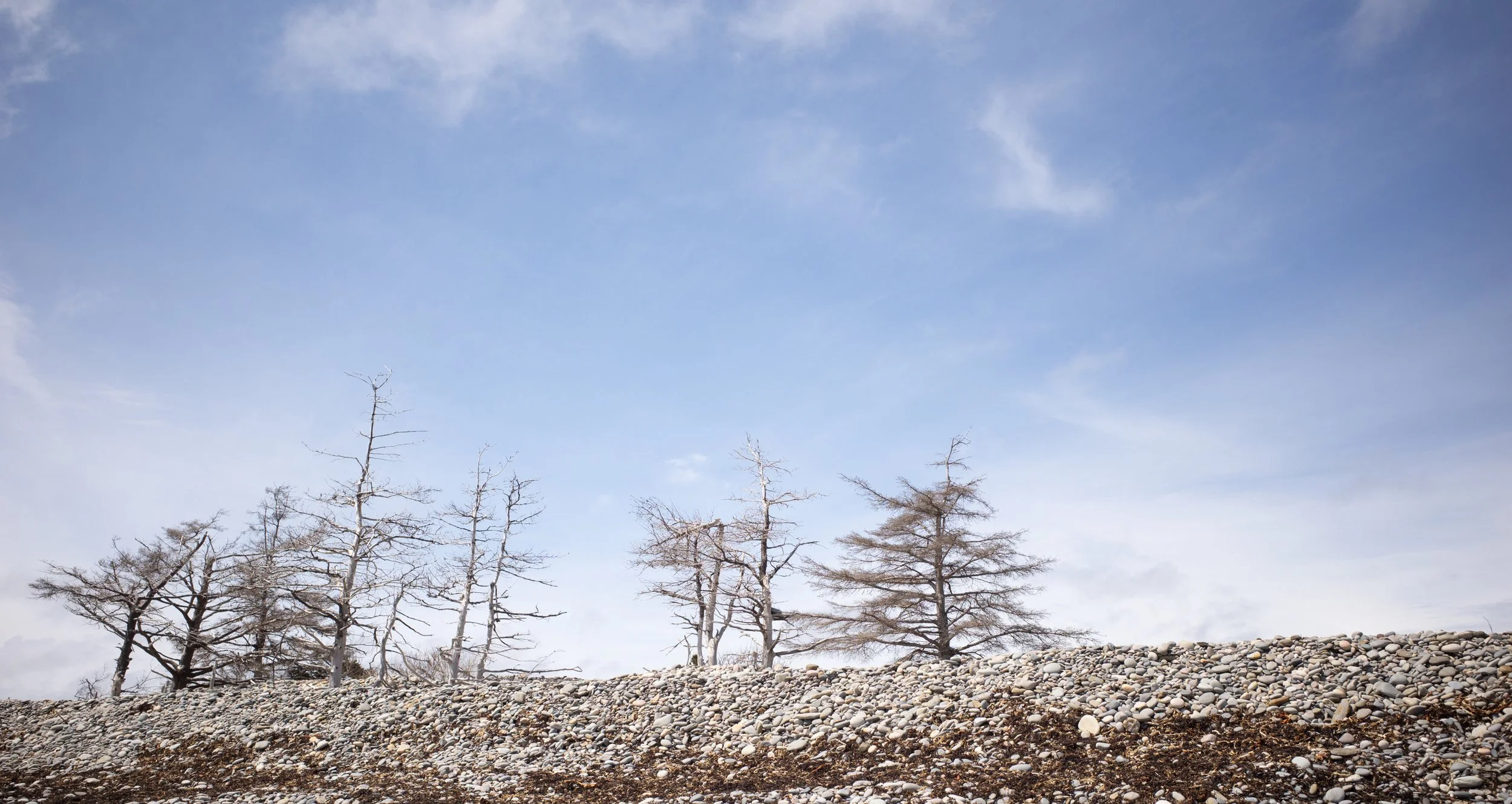 Toronto_Photographer_Joanna_Wojewoda_Hirtles's_Beach.jpg