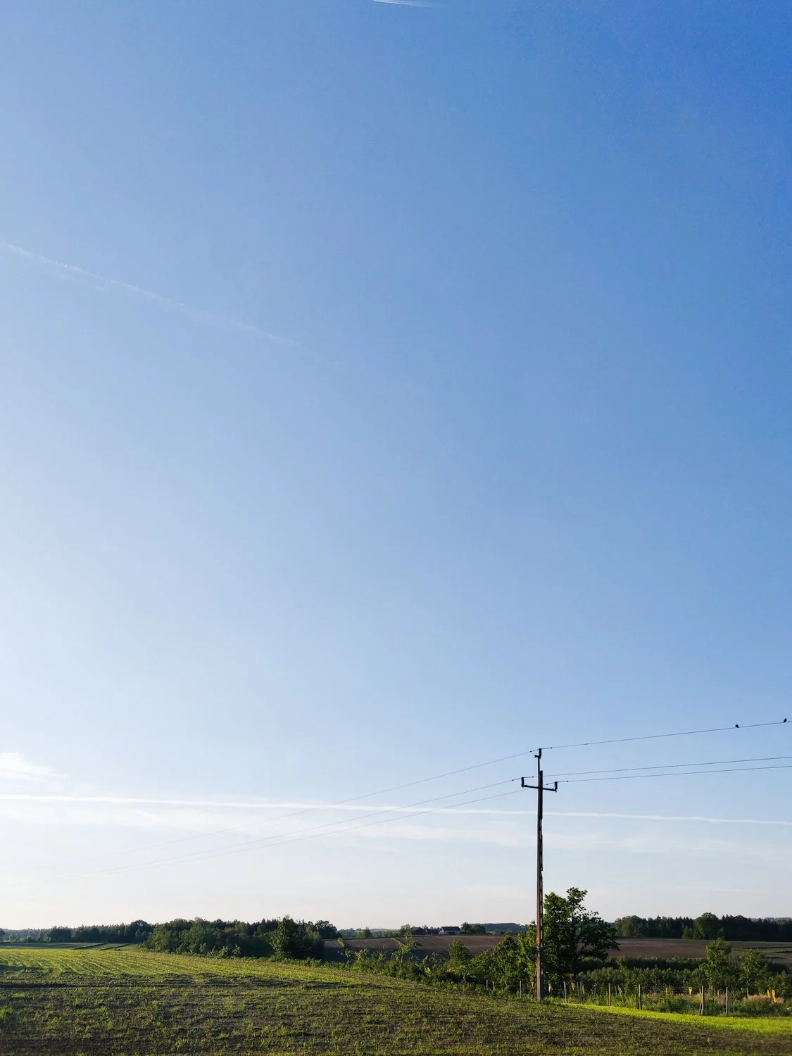Toronto_Travel_Photographer_Joanna_Wojewoda_Krakow-Kobyl-Travel-05-31-3.jpg