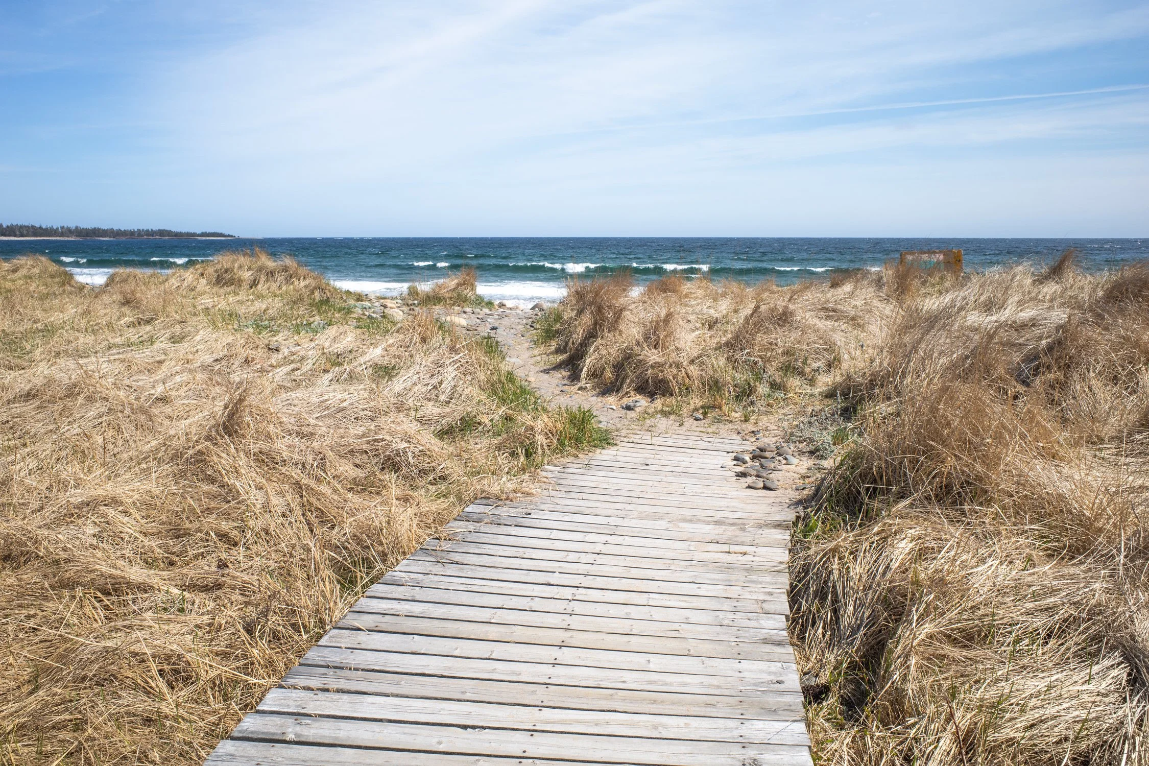 Toronto_Photographer_Joanna_Wojewoda_Hirtles's_Beach-8.jpg