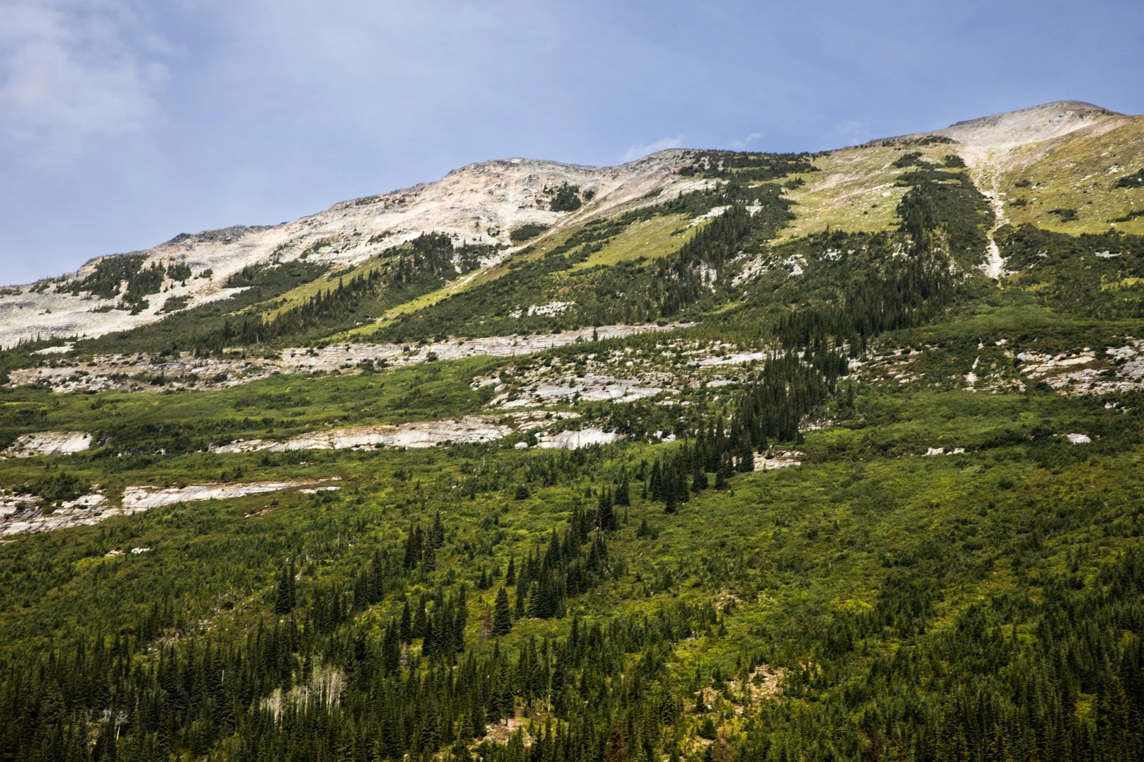 Toronto_Travel_Photographer_Joanna_Wojewoda_Canada_Landscape_BC.jpg