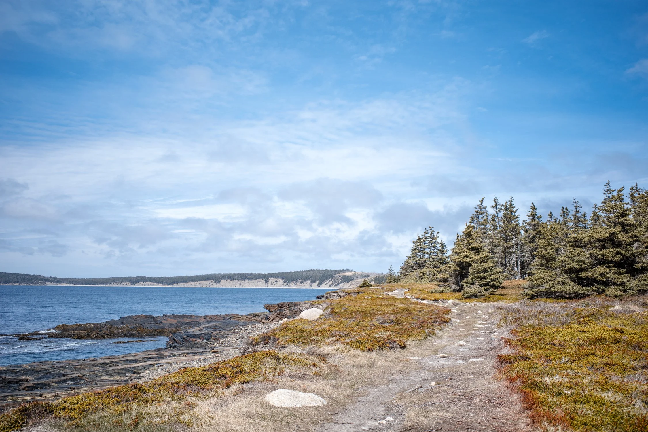 Toronto_Photographer_Joanna_Wojewoda_Hirtles's_Beach-3.jpg