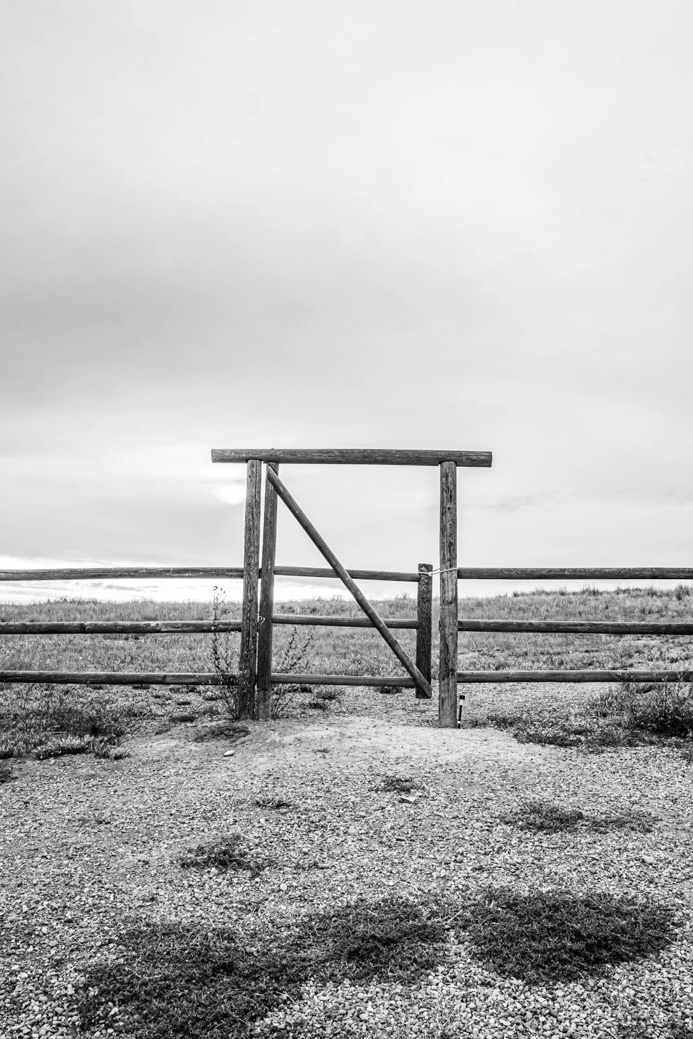 Toronto_Travel_Photographer_Joanna_Wojewoda_Cross_Canada-35.jpg