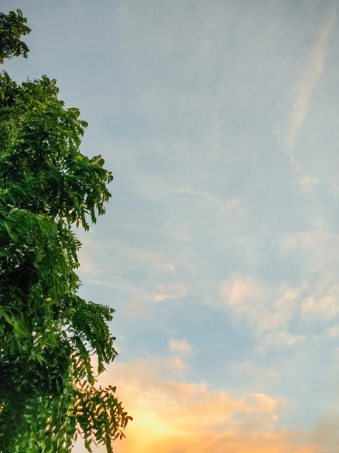 Toronto_Photographer_Joanna_Wojewoda_-8.jpg