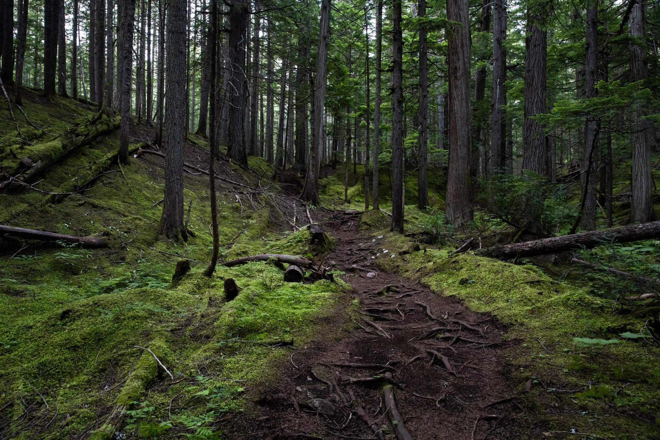 Toronto_Travel_Photographer_Joanna_Wojewoda_Cross_Canada-11.jpg