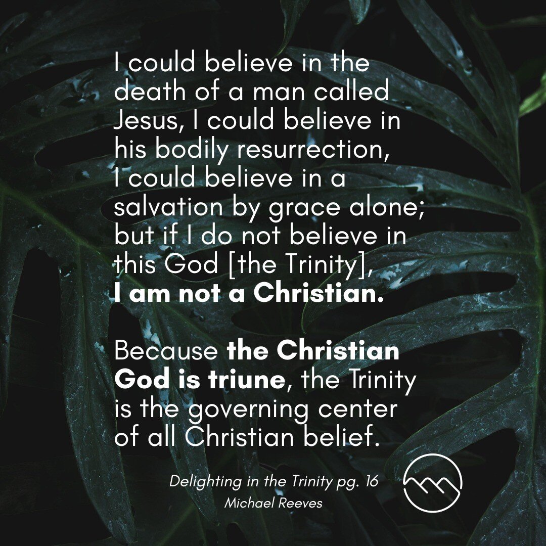 Does the Trinity really matter? 

&quot;I could believe in the death of a man called Jesus, I could believe in his bodily resurrection, I could believe in a salvation by grace alone; but if I do not believe in this God [the Trinity], then I am not a 