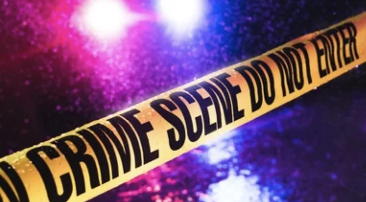 Two Teenagers Charged After Shooting at Police
