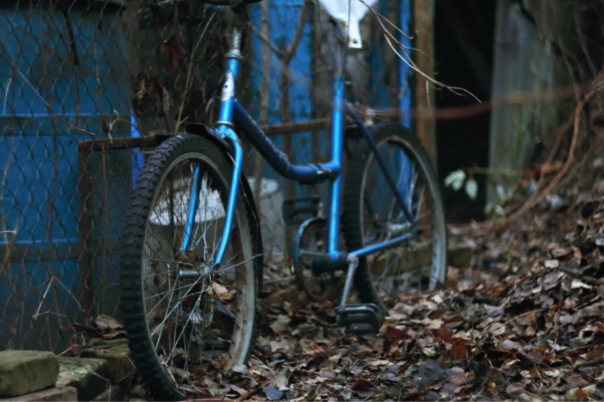 The story of Lisa McVey, the survivor who outsmarted a serial killer