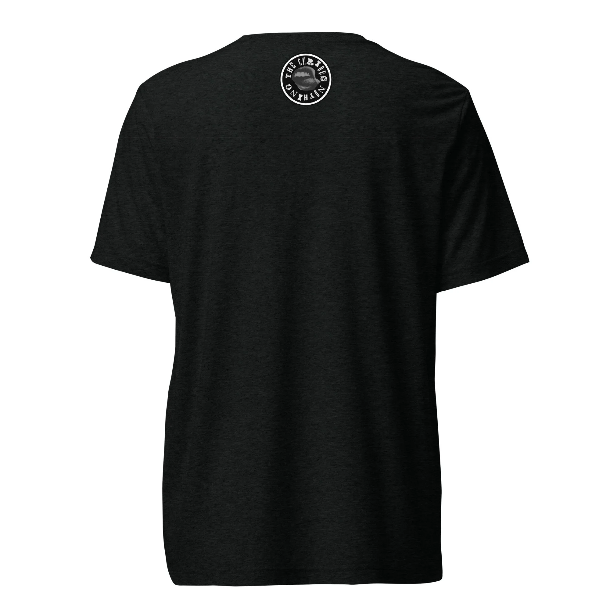 unisex-tri-blend-t-shirt-solid-black-triblend-back-688be8d502d0a.jpg
