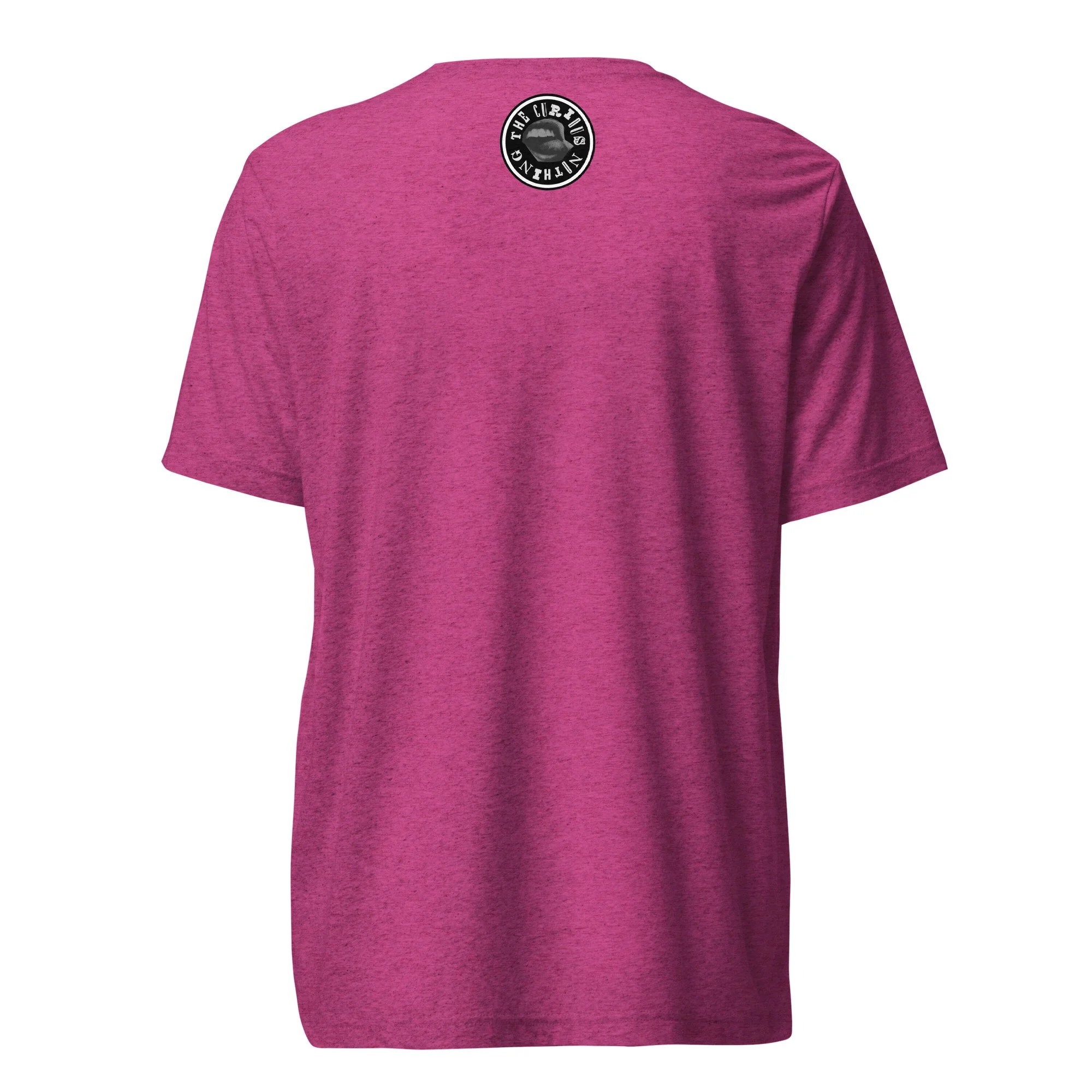 unisex-tri-blend-t-shirt-berry-triblend-back-688be8d50fe1c.jpg