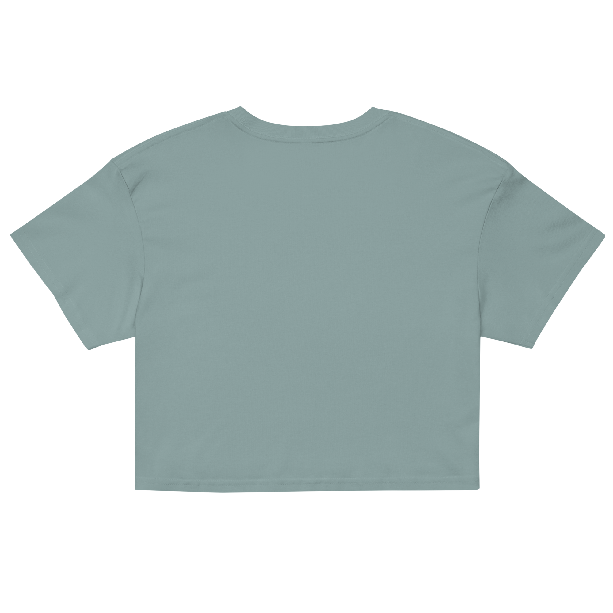 womens-crop-top-mineral-back-689515e0c64be.png