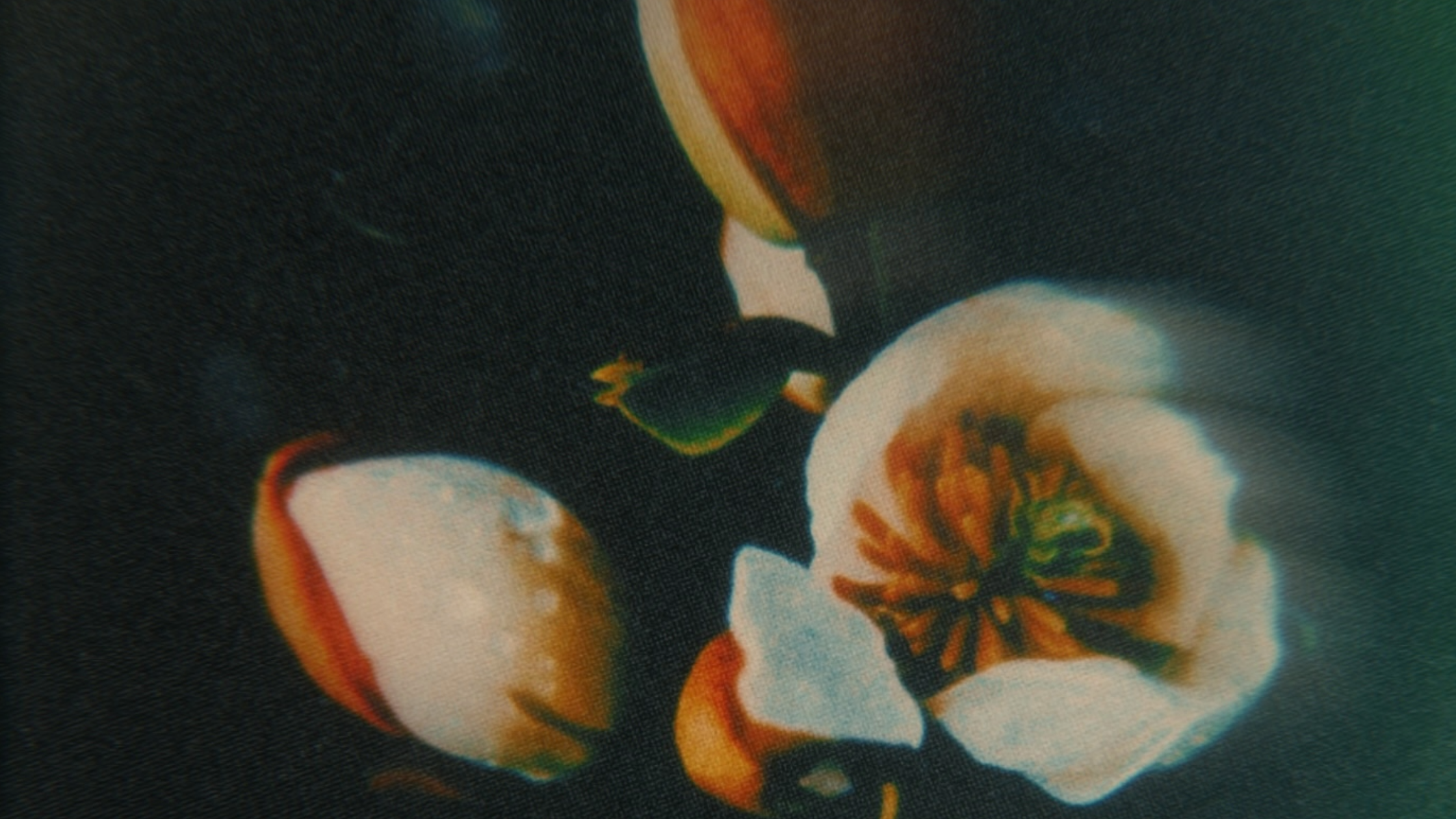 Our Latest Endeavor: A Poetry Book