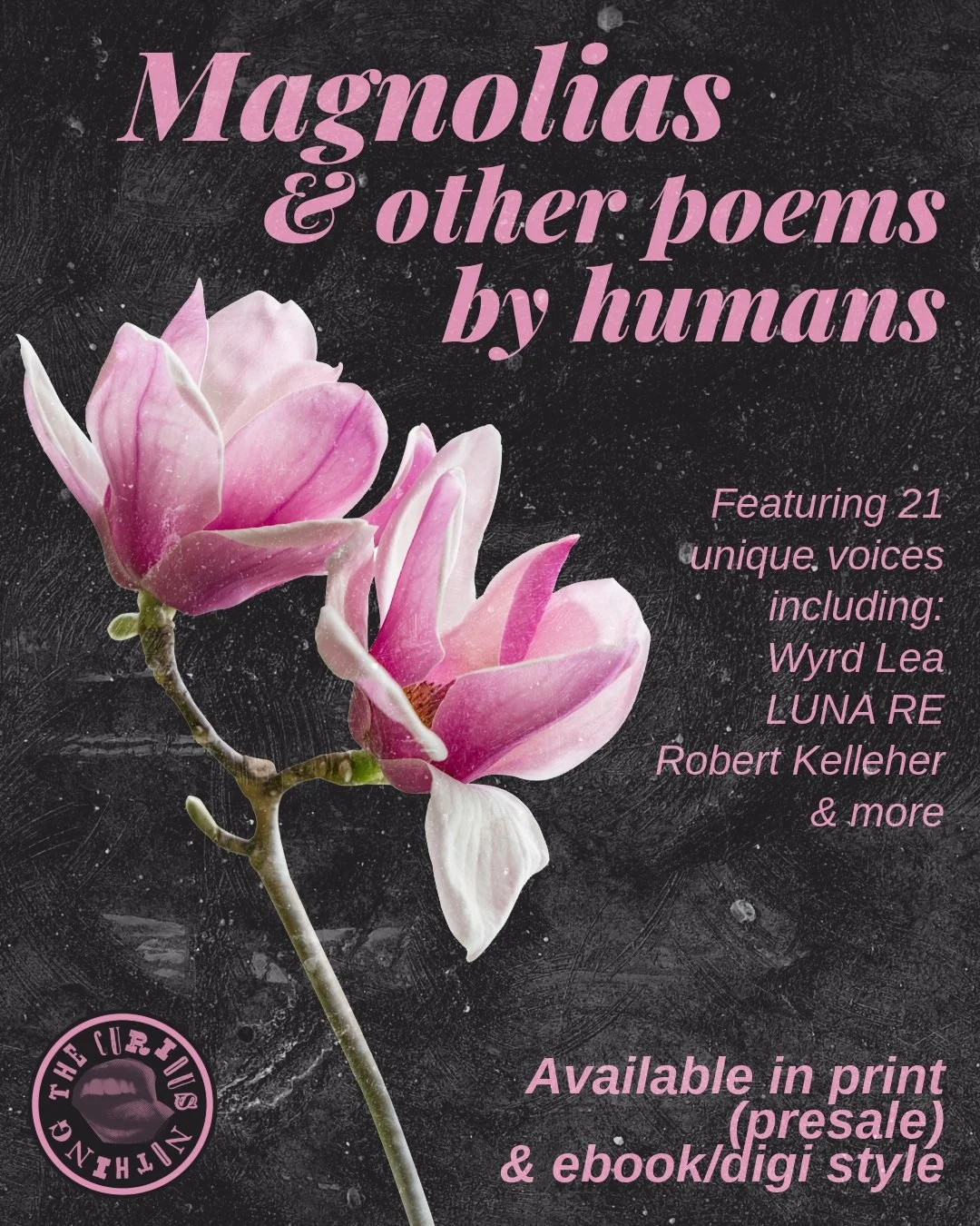 Reserve yr copy today! Head over to our links and order MAGNOLIAS &amp; OTHER POEMS BY HUMANS - In stock this week! 📖 🌸 🖋️ #thecuriousnothing #magnolias #bookrelease #poetrybook