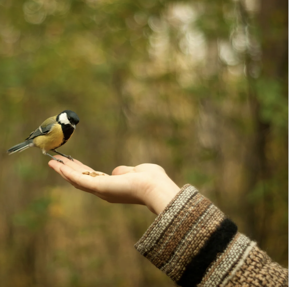 Empowering Mental Health: The Transformative Power of Client-Centric Care in Value-Based Healthcare