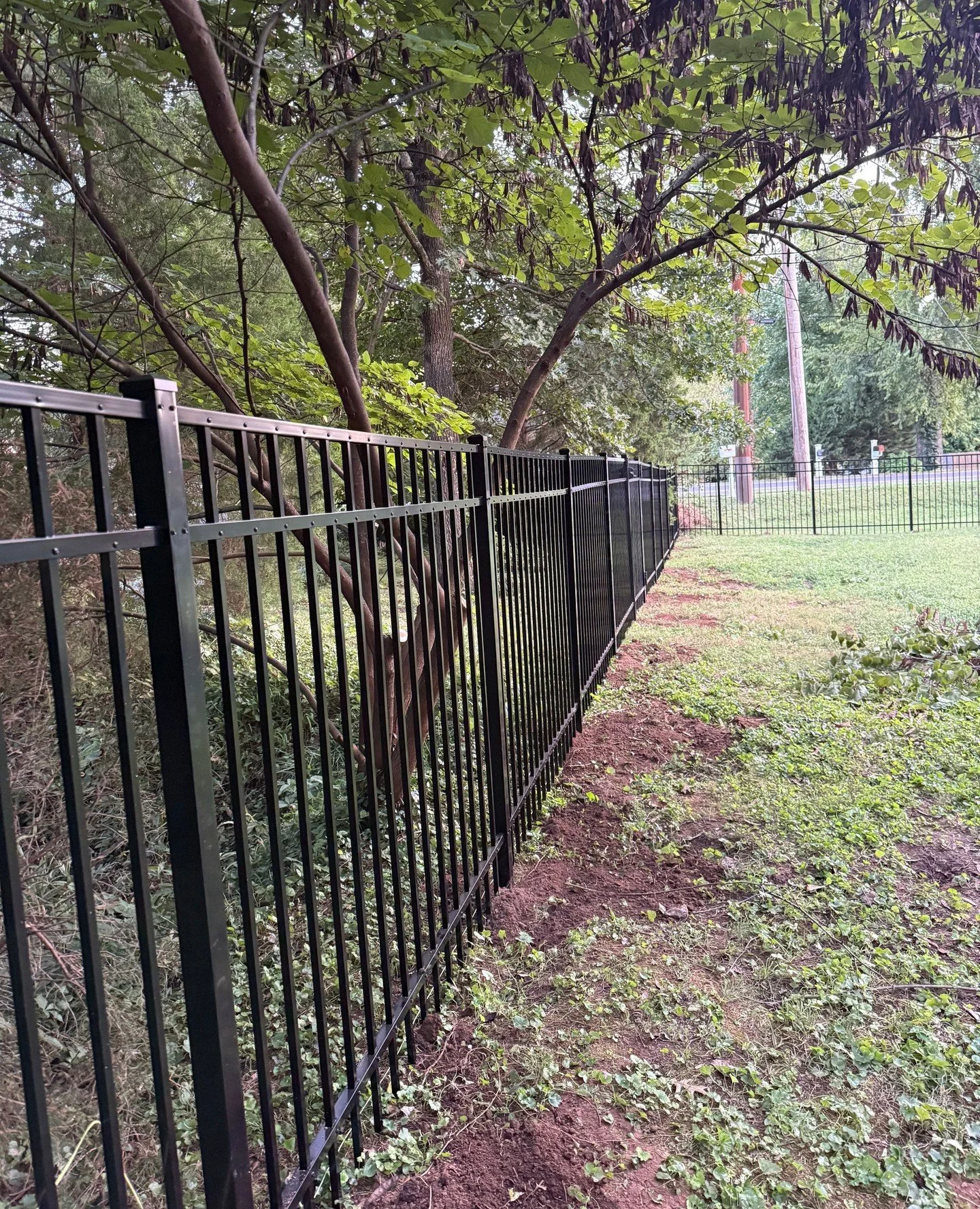 Durable. Low-maintenance. Built to impress. 👍️ This double picket aluminum fence delivers strength, security, and a clean look that lasts for years.⁠
⁠
👉 Book your on-site with Kowboy Fence Co. today and get fencing done right. 🤠