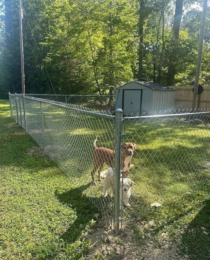 Happy dogs, safe yard. 🐶🐾 This chain link fence gives plenty of space to play while keeping pets secure.
👉 Book your on-site with Kowboy Fence Co. today. Comment QUOTE & we'll send you a link to get instant complimentary pricing.