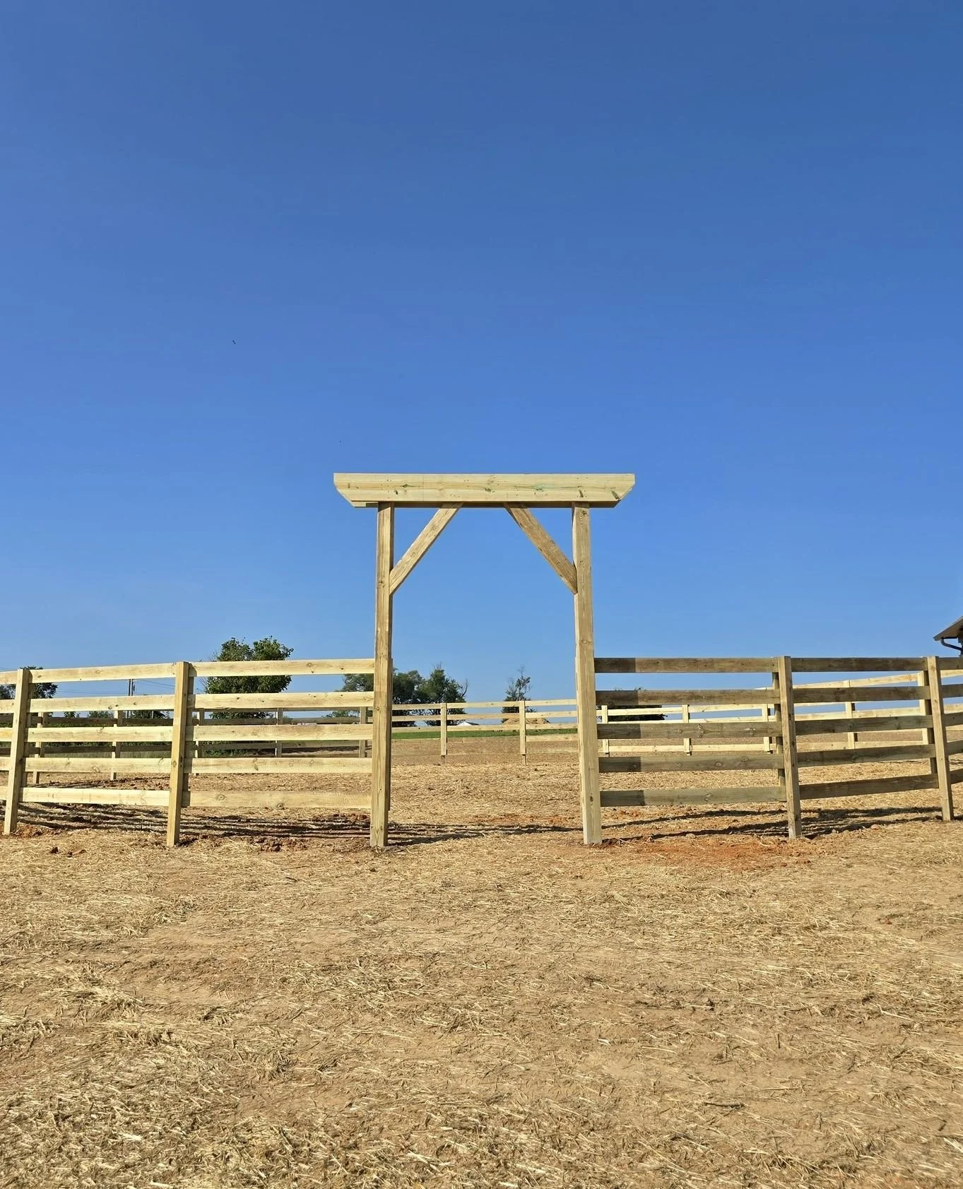 Such a fun project to bring to life! 🤠 We love taking unique ideas and turning them into something functional and well-built. Let us know what you&rsquo;re dreaming up! Our team is happy to provide custom quotes and help bring your project to life. 