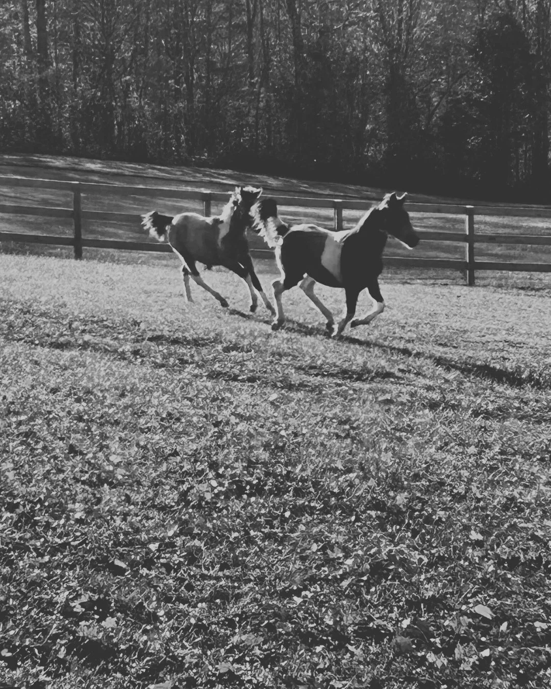 &ldquo;I never thought I would have a fence this nice.&rdquo; ⁠
⁠
We love hearing positive feedback about our projects! We gotta say, we're pretty proud of this install!  If you&rsquo;re thinking about upgrading your yard this season, now&rsquo;s the