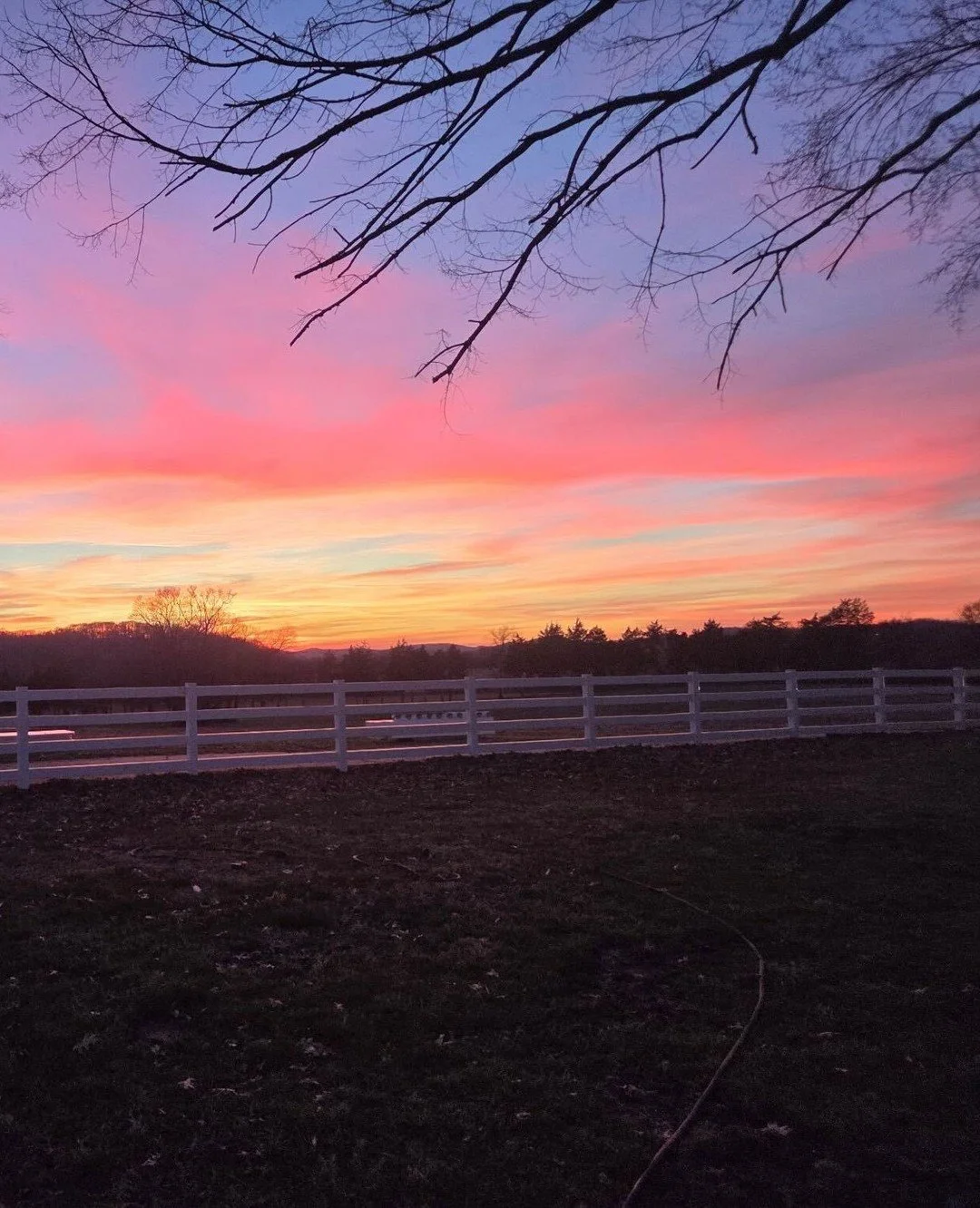 Golden hour framed by a Kowboy fence 🤠 Looking to get your back yard ready for summer nights? Comment QUOTE to get started! ⁠
⁠
⁠
#Kowboy #KowboyUp #KowboyFence #NashvilleTN #JacksonTN #MemphisTN #KnoxvilleTN #HuntsvilleAL #BirminghamAL #LouisvilleK