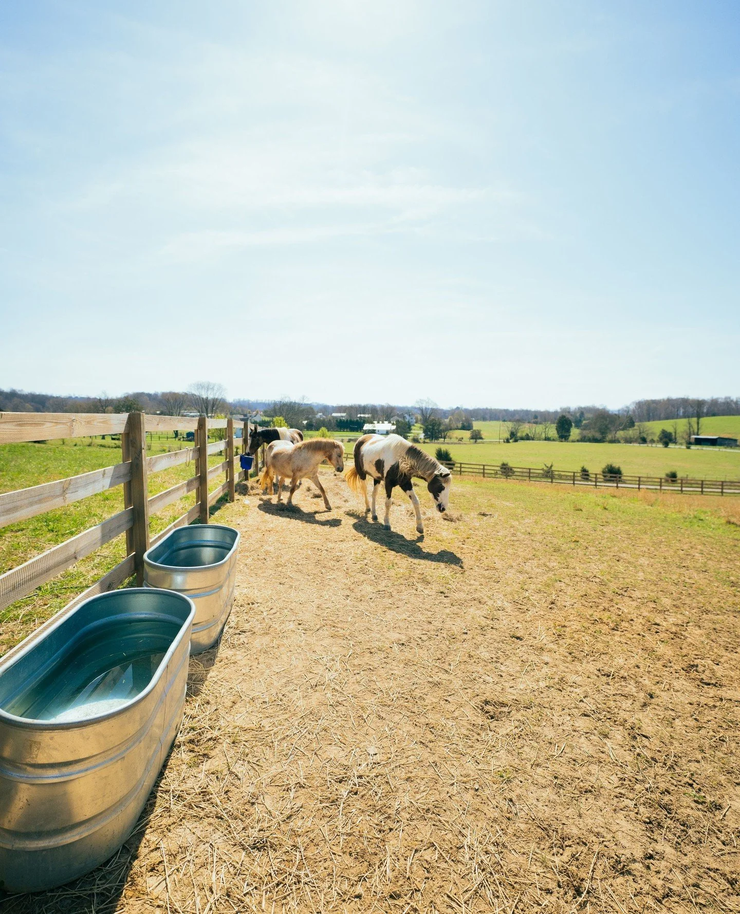 Farm fencing isn&rsquo;t one-size-fits-all. From safe containment for livestock to durable perimeter fencing built to handle the elements, the right materials and layout matter. Not sure what you need? Our team can help. Message us today to get start
