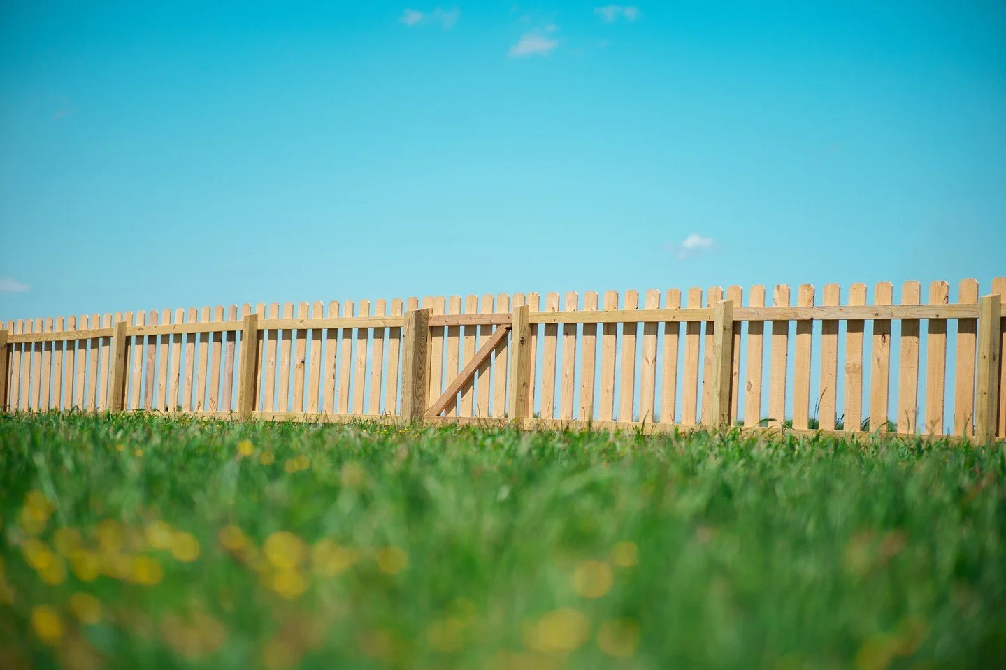 The fence you&rsquo;ve been dreaming about is just a phone call away. 🤠⁠
⁠
⁠
[Kowboy, Kowboy Up, Kowboy Fence, Nashville TN, Jackson TN, Memphis TN, Knoxville TN, Huntsville AL, Birmingham AL, Louisville KY, Fence Contractor, Fencing Company, Fence 