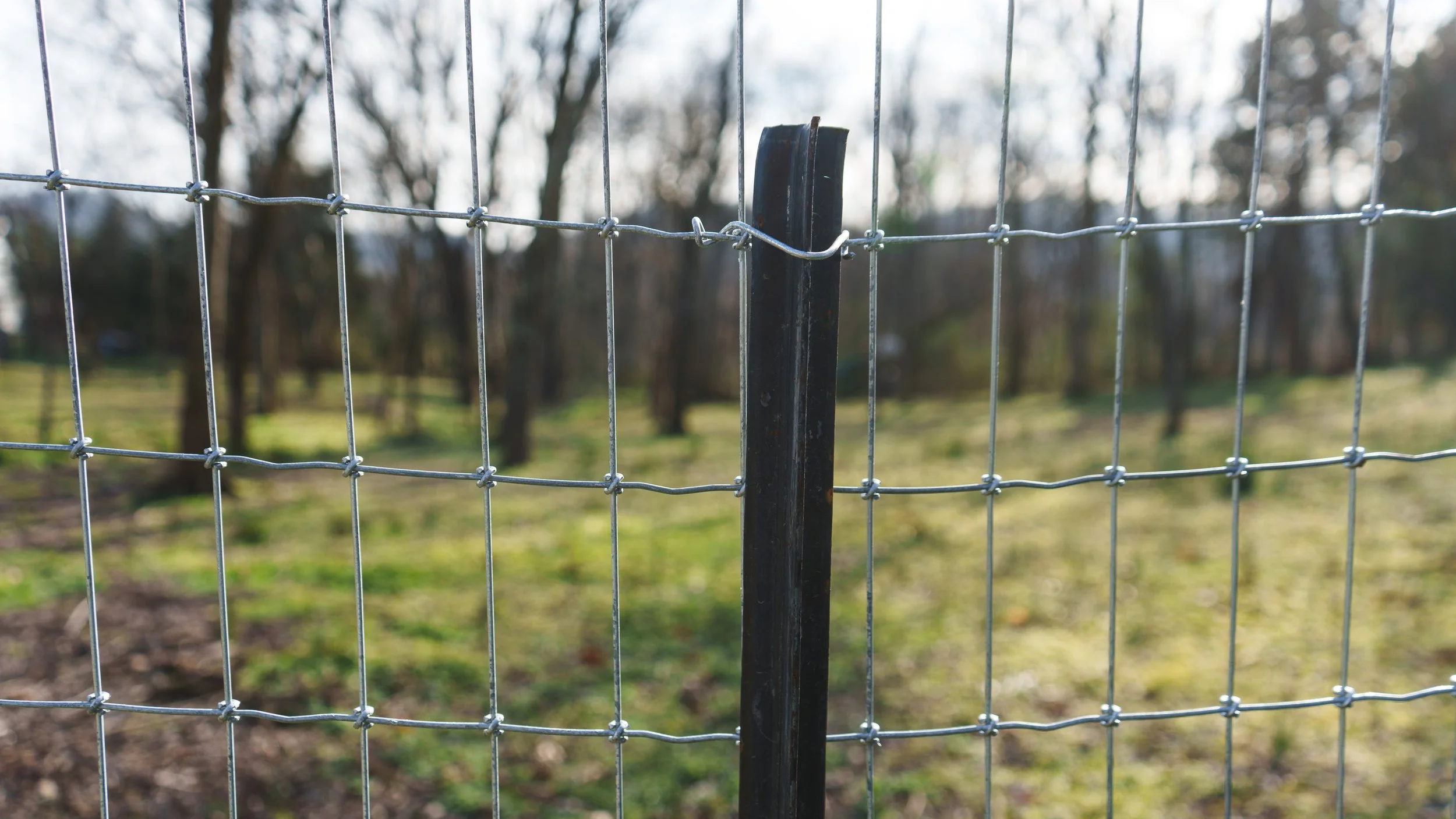 Galvanized Woven Wire