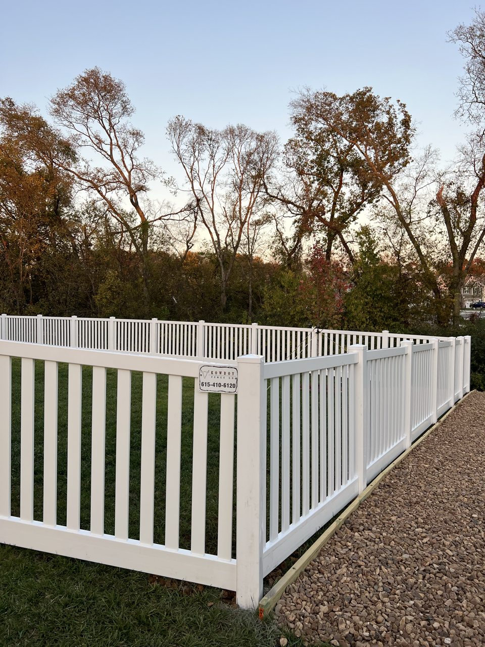 IMG_4015-preview Large.png