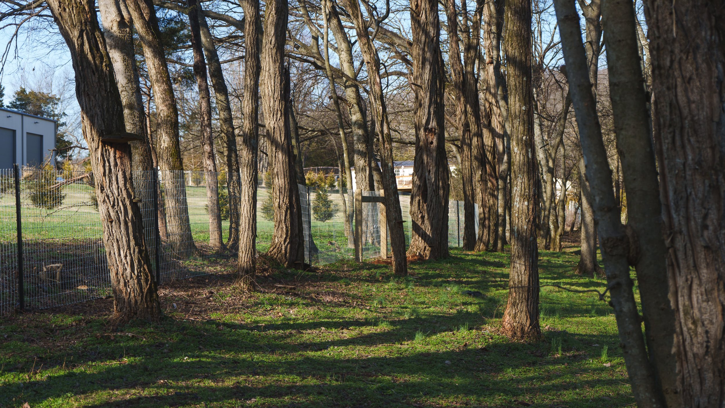 Galvanized Woven Wire