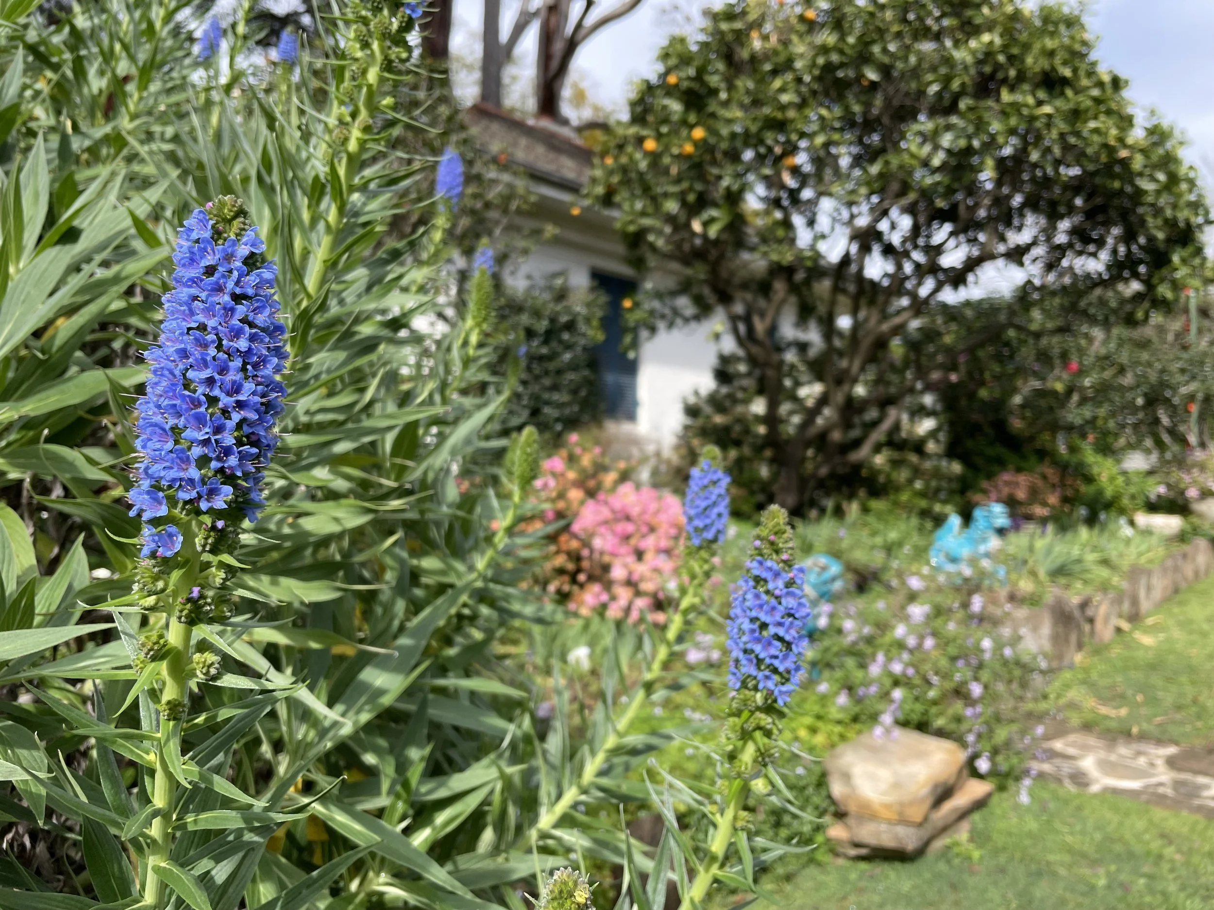 OPEN FRIDAY - GARDEN TOURS