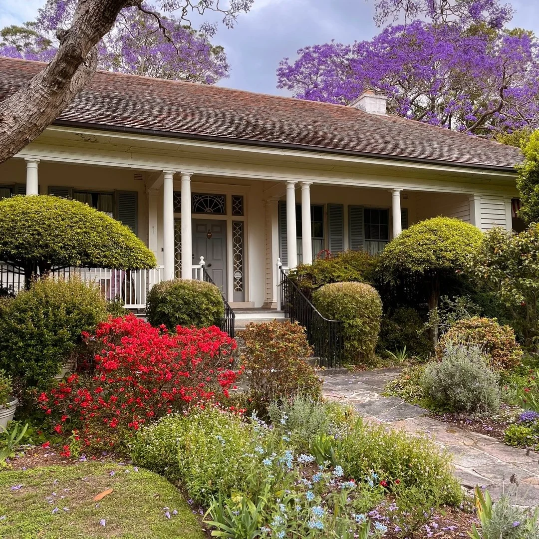 Waiting... waiting... waiting....

Jacaranda Jazz with Couccou Zazous is this Sunday, 10 November from 3pm - 7pm.  Music from 3.30-6.30pm.

BYO family and friends, and join us for a spring celebration in the historical gardens of Eryldene.

Our Colle