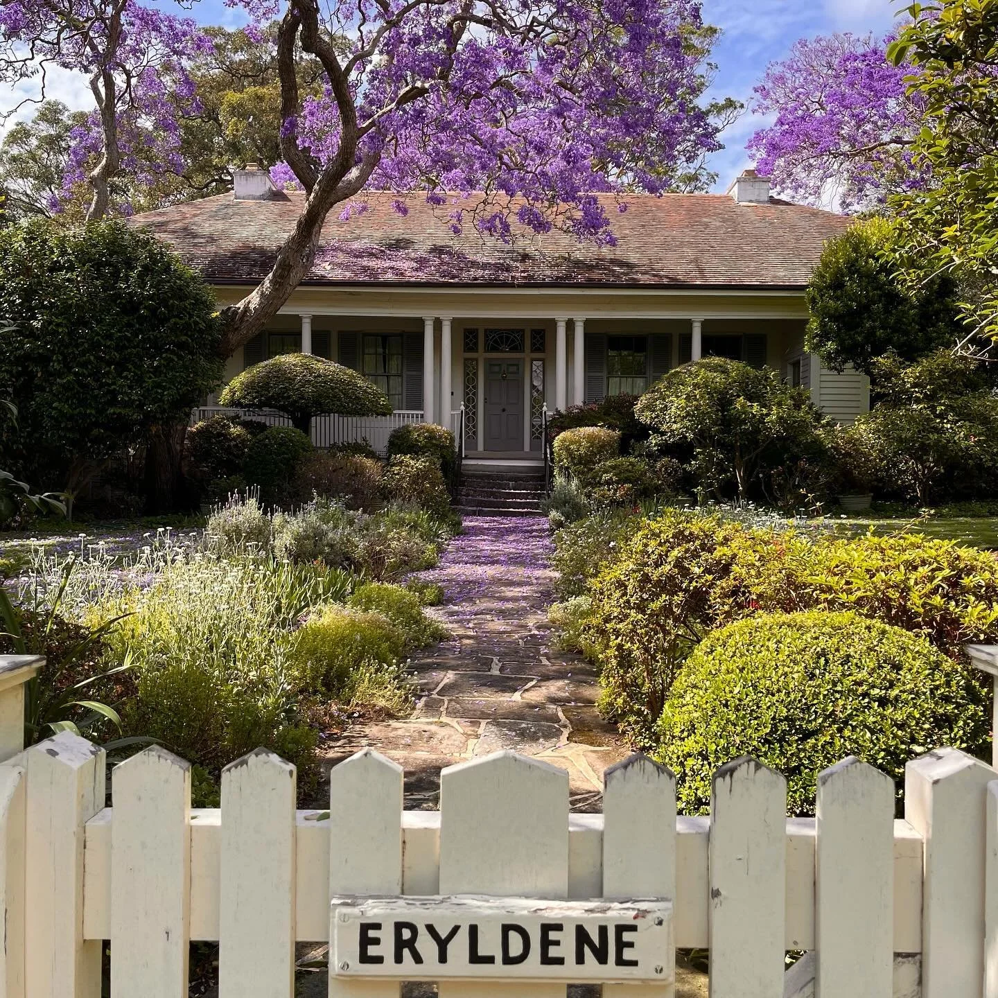 Finally, the day has arrived! Eryldenes Jacaranda Jazz event is today. Coucou Zazous will entertain with toe-tapping vintage jazz melodies. Gates open 3pm. Music from 3.30pm. Tickets available at the gate. A family event. See you soon!