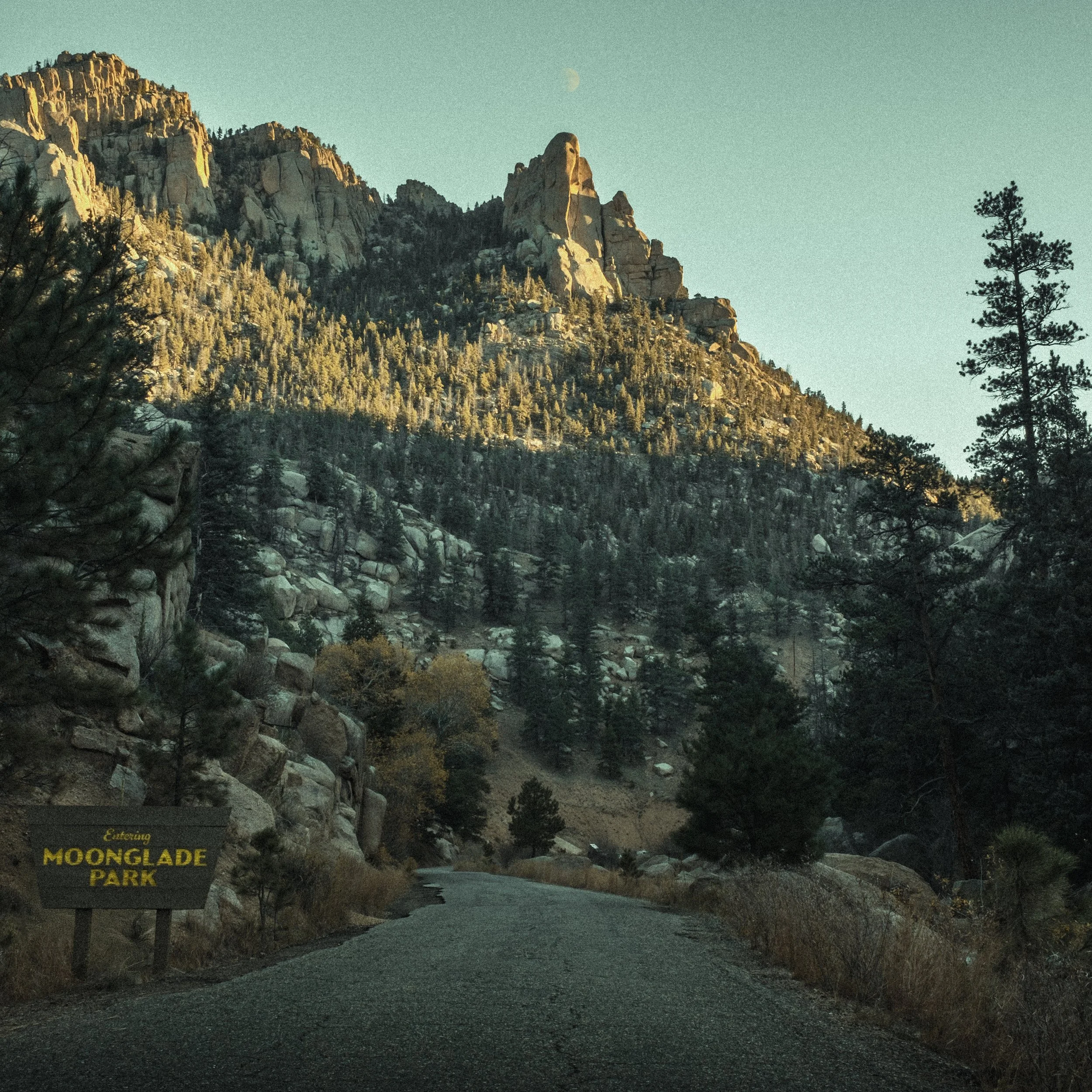 OF THE TREES - 'Moonglade Park' LP