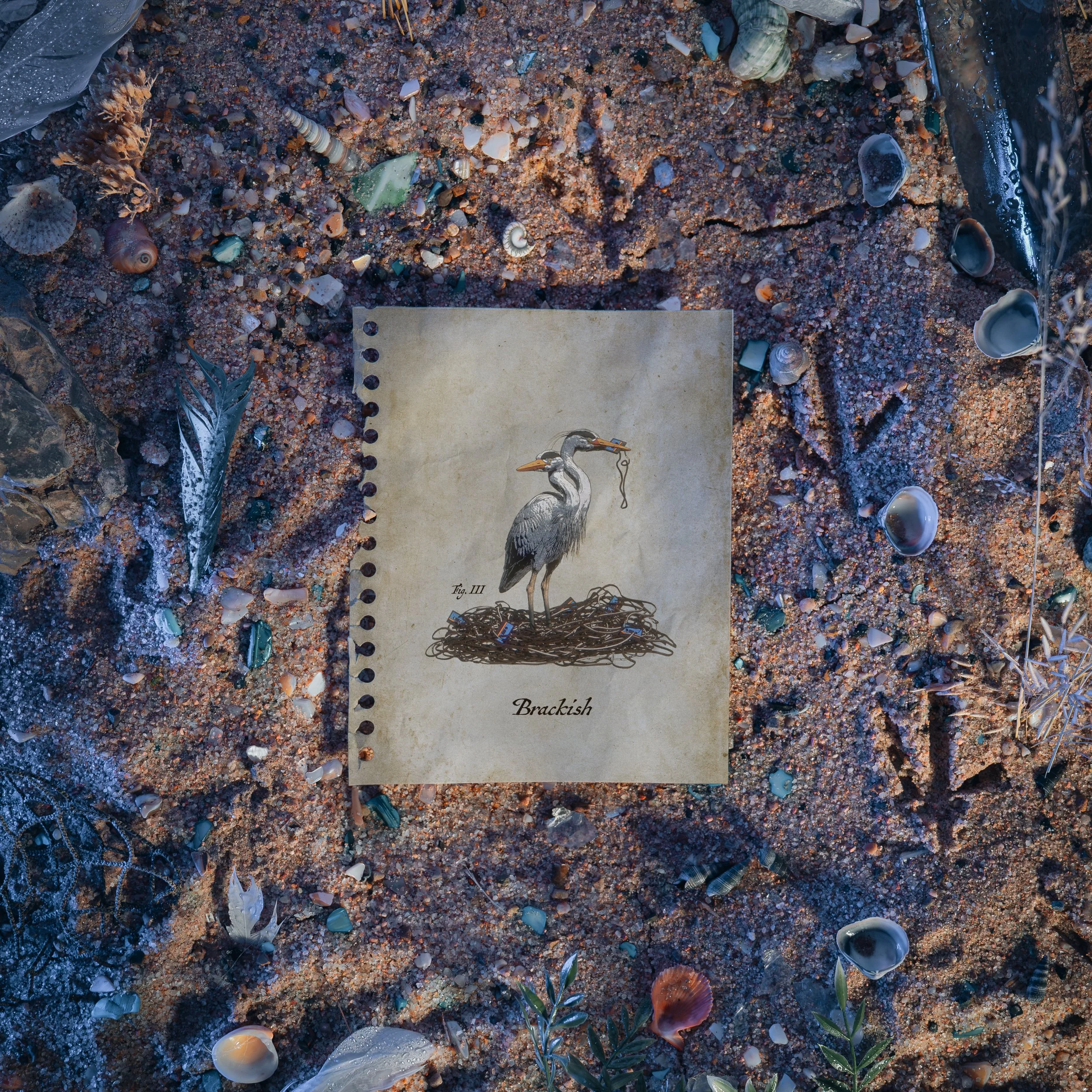 OF THE TREES, TAPE B - 'Brackish'