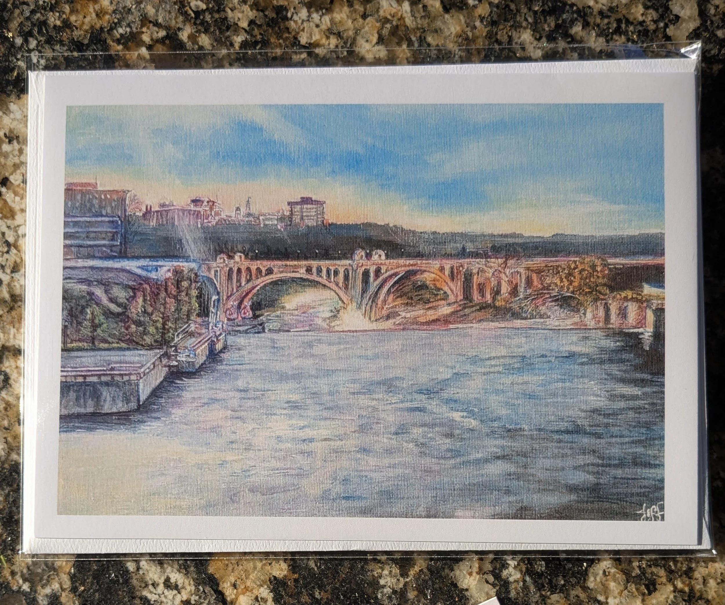 greeting card 1 Des Vu on Spokane Falls.jpg