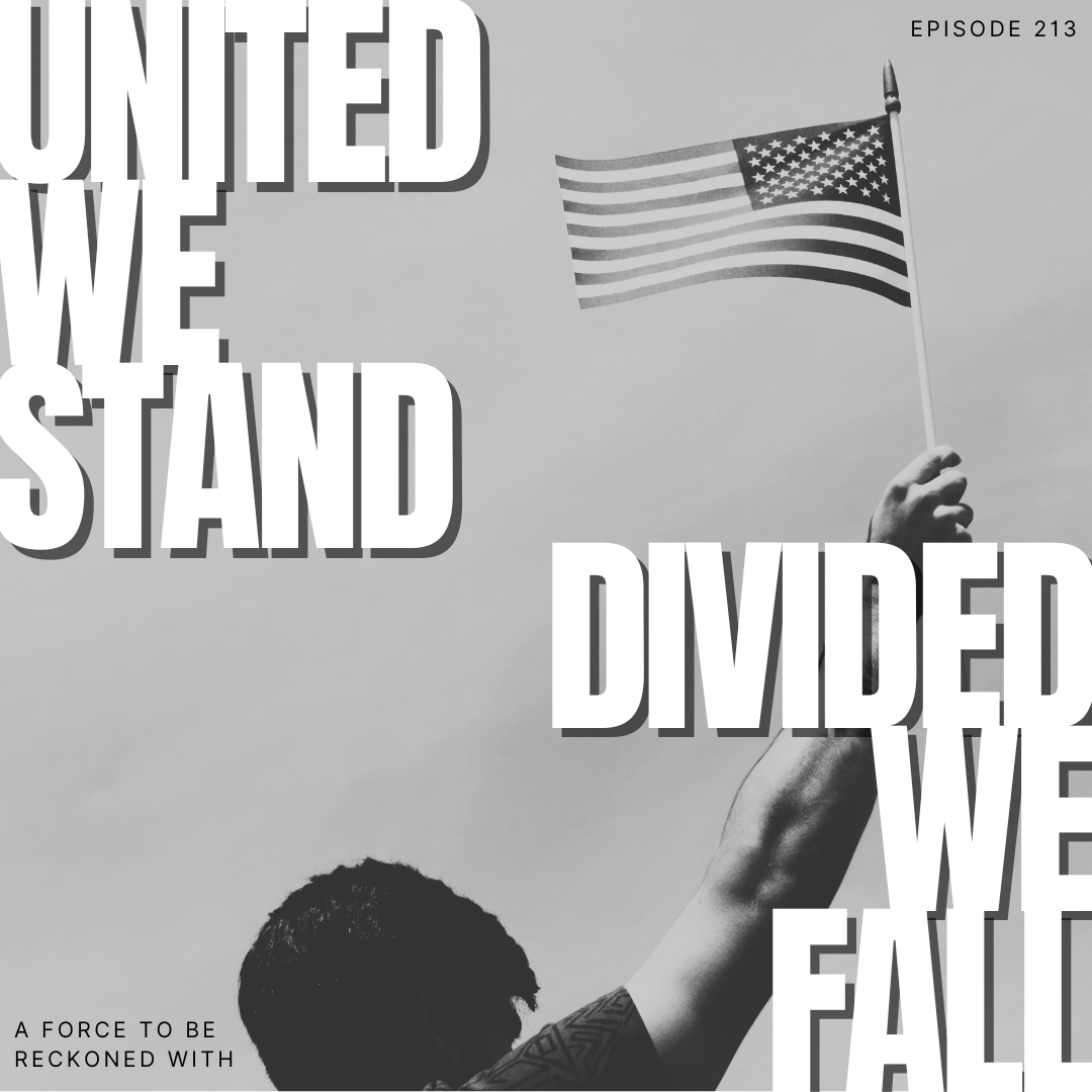 213. United We Stand Divided We Fall