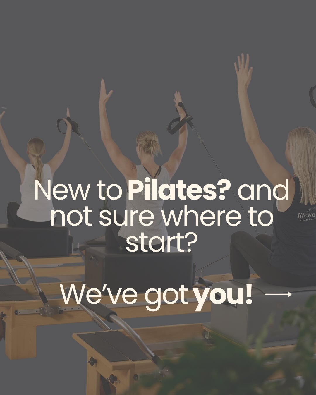 Book an Introduction to Reformer lesson with us today and let us guide you at every step of the way ✨ #lifeworkspilates #Pilates #ballina #2026 #northernrivers #health #byronbay