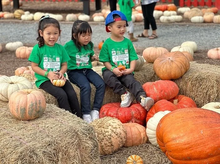 We had a fun field trip at Dell&rsquo;Osso Family Farm! It was lovely creating lasting memories with our community&rsquo;s parents, teachers and students.

 #montessoriactivity #earlychildeducation #screenfreekids #screenfreeactivities  #schoolfestiv