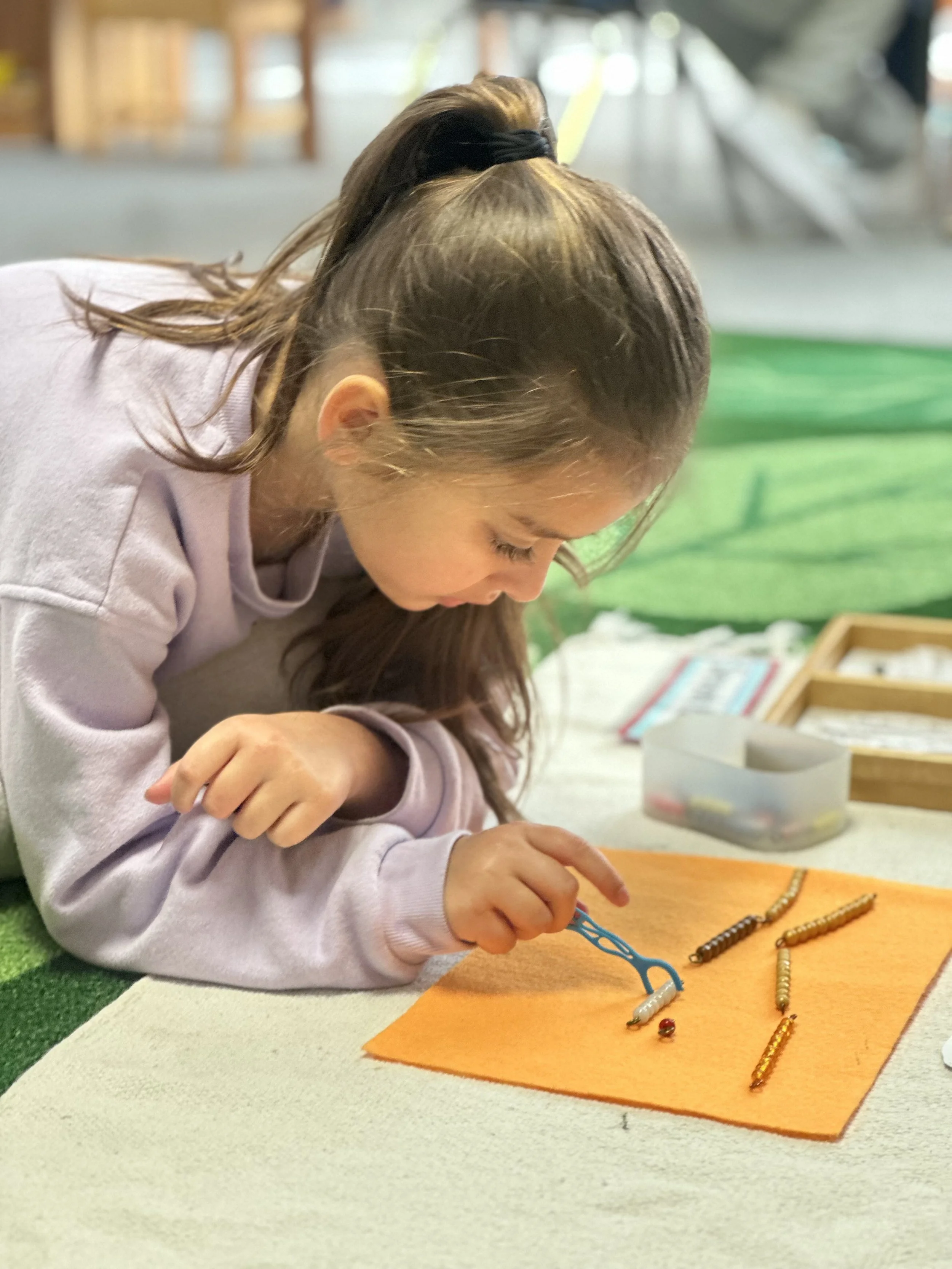 Stockton Montessori School