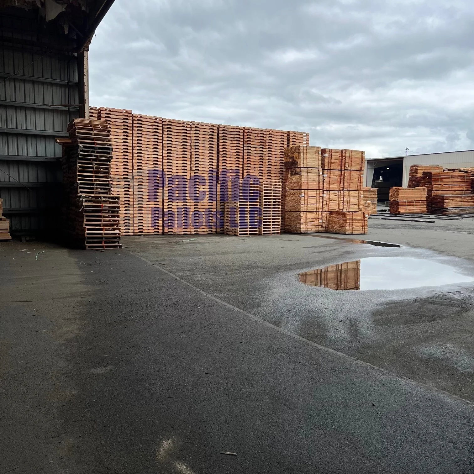 Pacific Pallets LLC