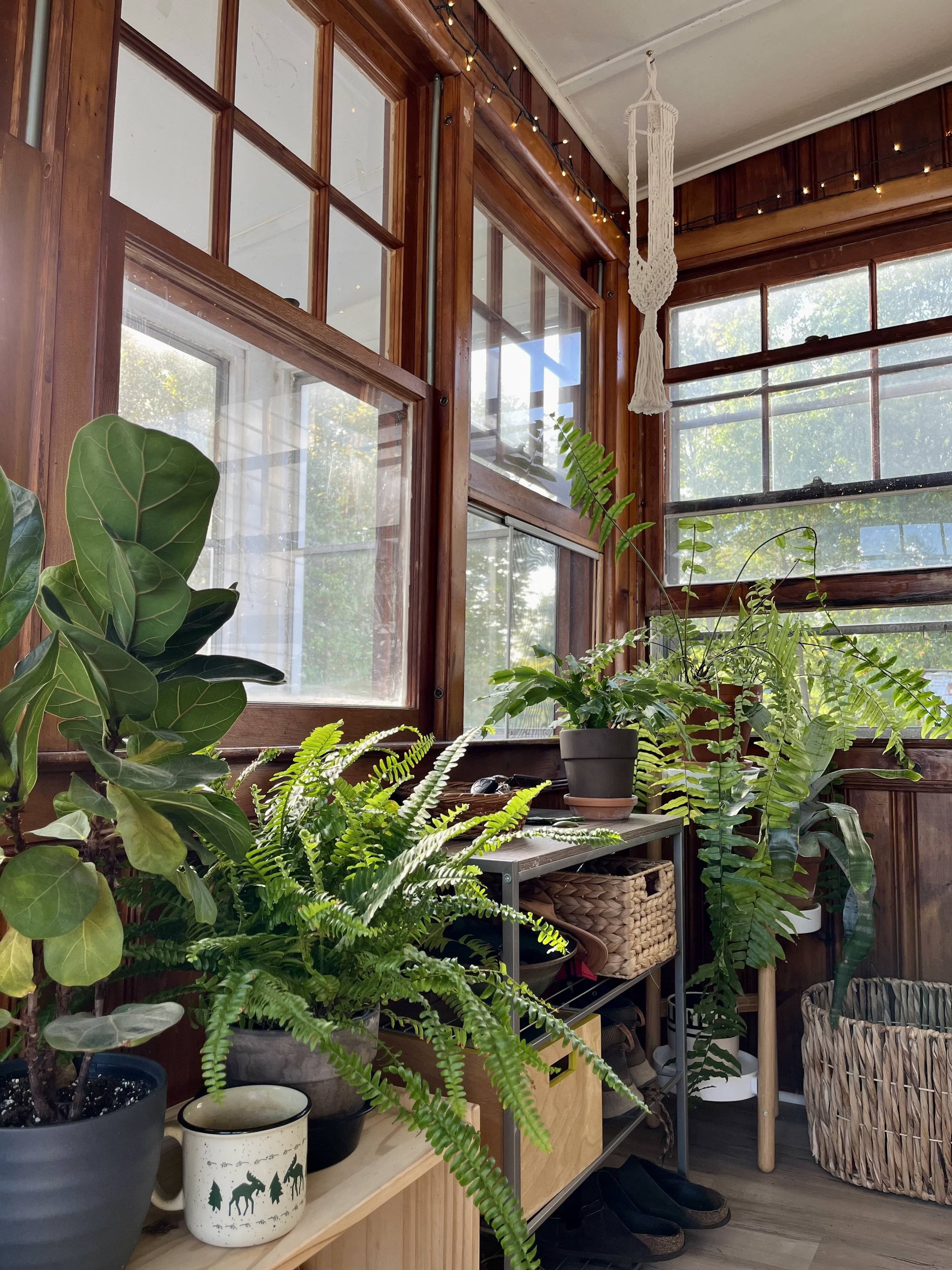 Settling Into the North End