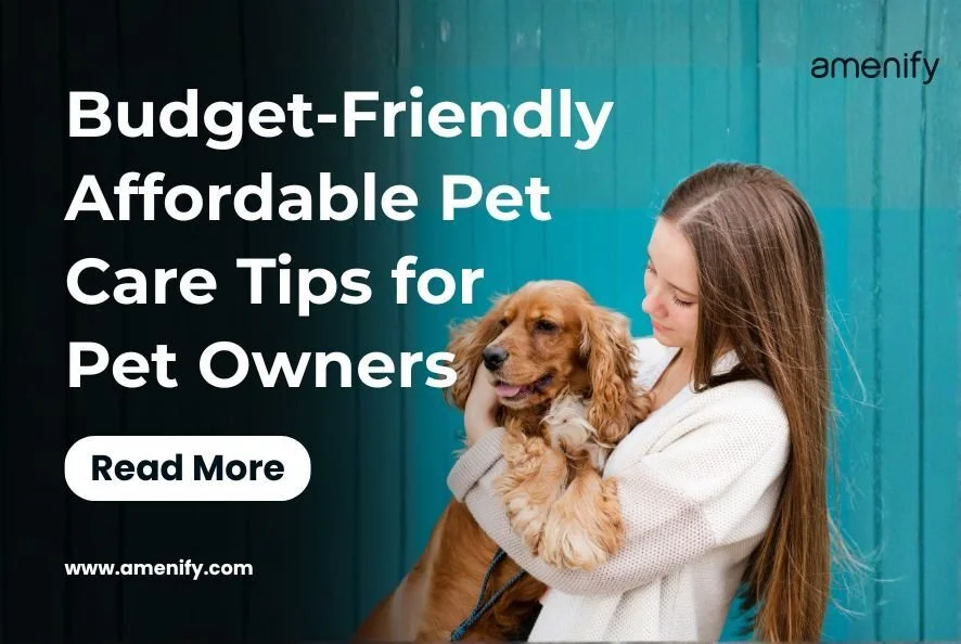 Budget-Friendly Affordable Pet Care Tips for Pet Owners