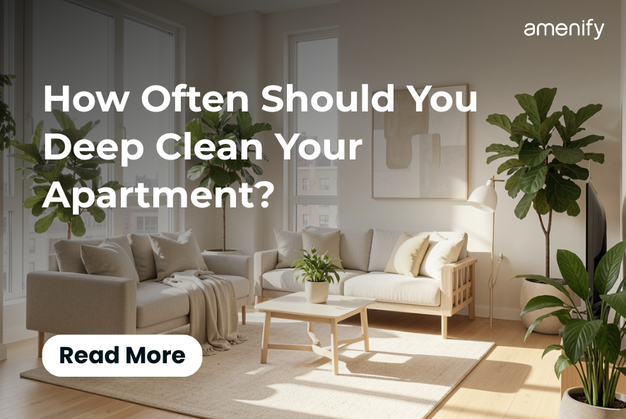 How Often Should You Deep Clean Your Apartment? Schedule, Checklist &amp; Deep Clean vs. Regular Cleaning