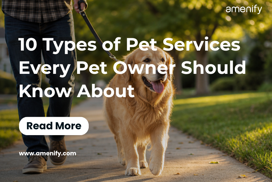 10 Types of Pet Services Every Pet Owner Should Know About