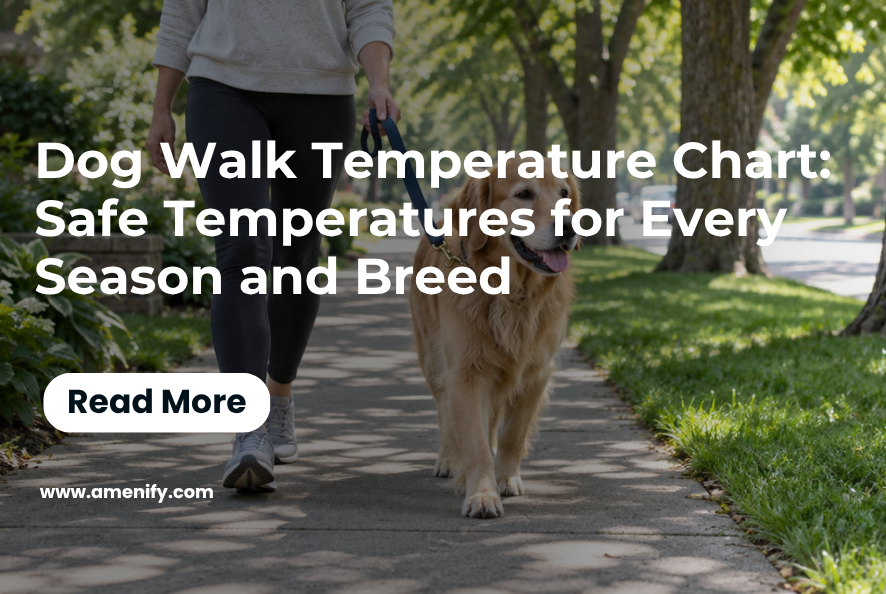 A Dog Walk Temperature Chart for Every Season
