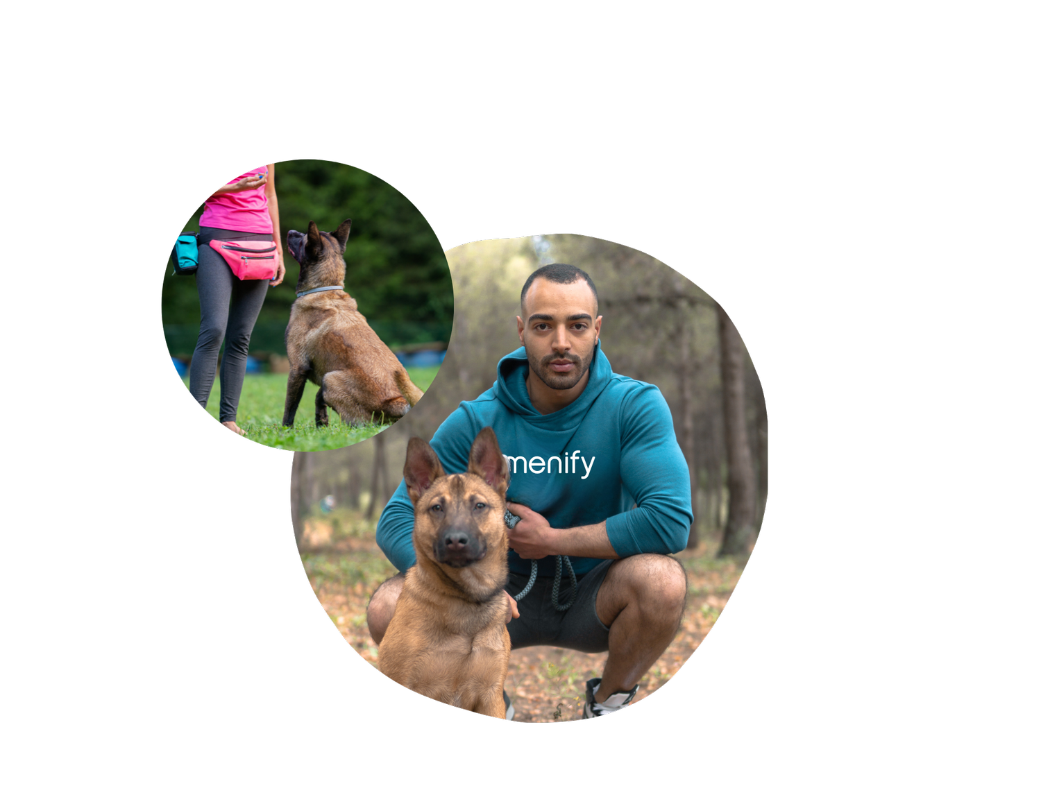 Professional Pet Services to Take Care of Your Pets — Amenify