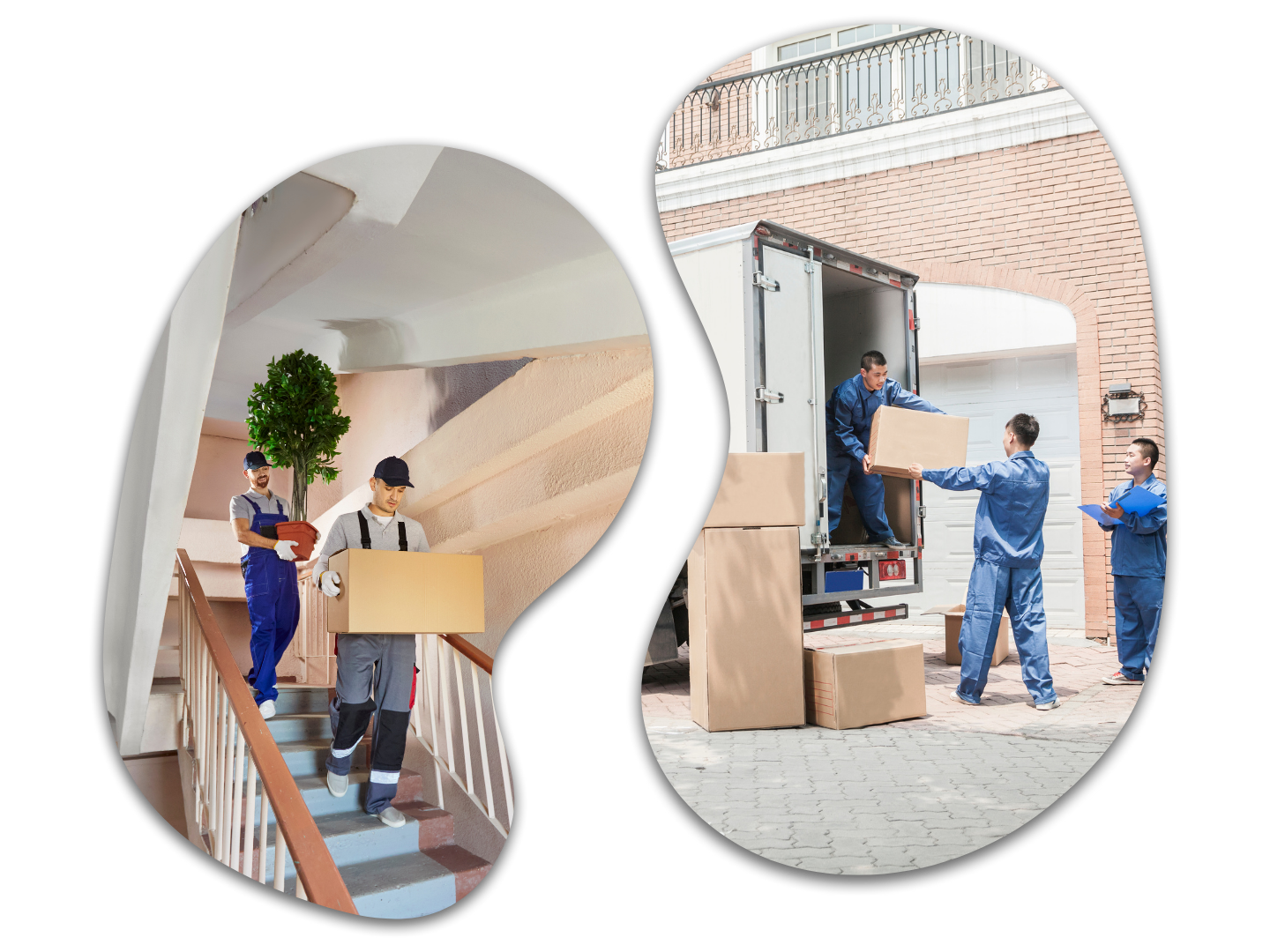 Professional Move Out Cleaning Services — Amenify
