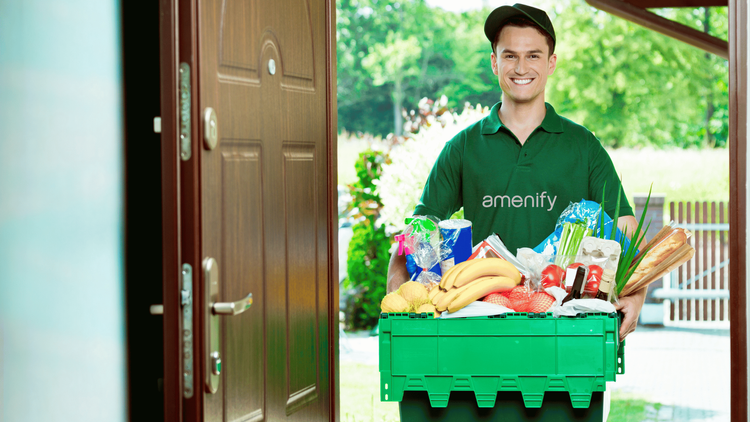 How to Order Groceries Online With Zero Experience? — Amenify