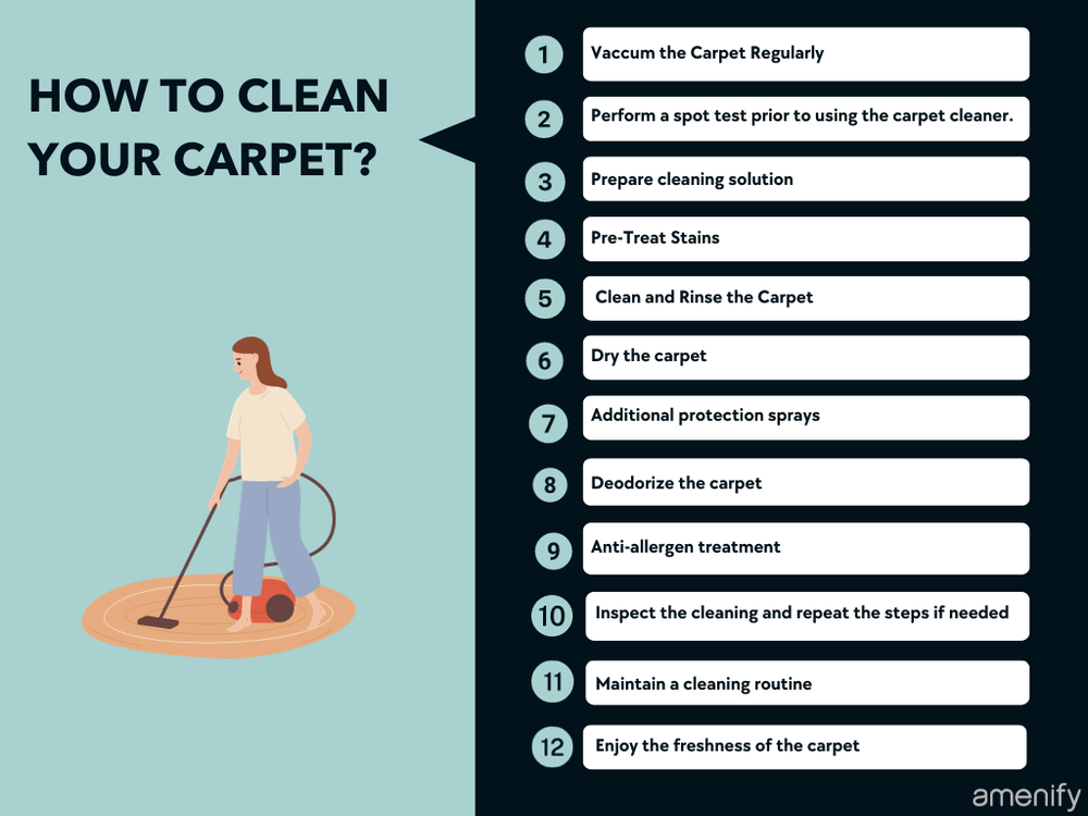 How to Clean a Carpet A Complete Guide — Amenify